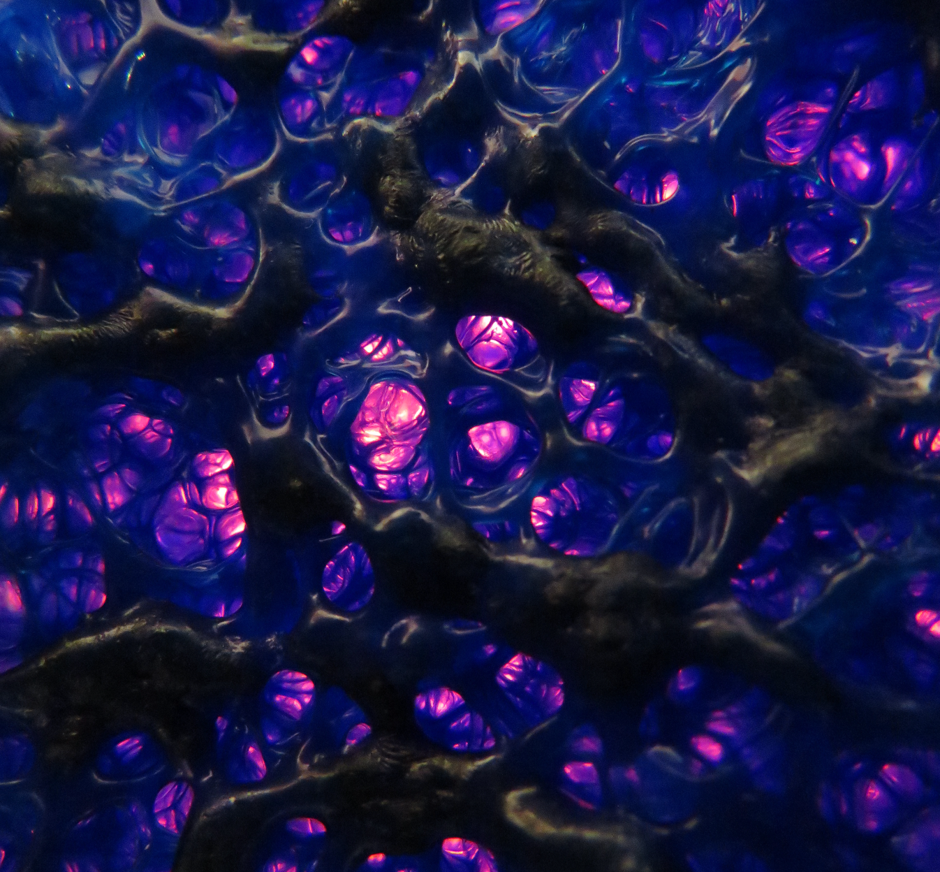 Melted plastic foam