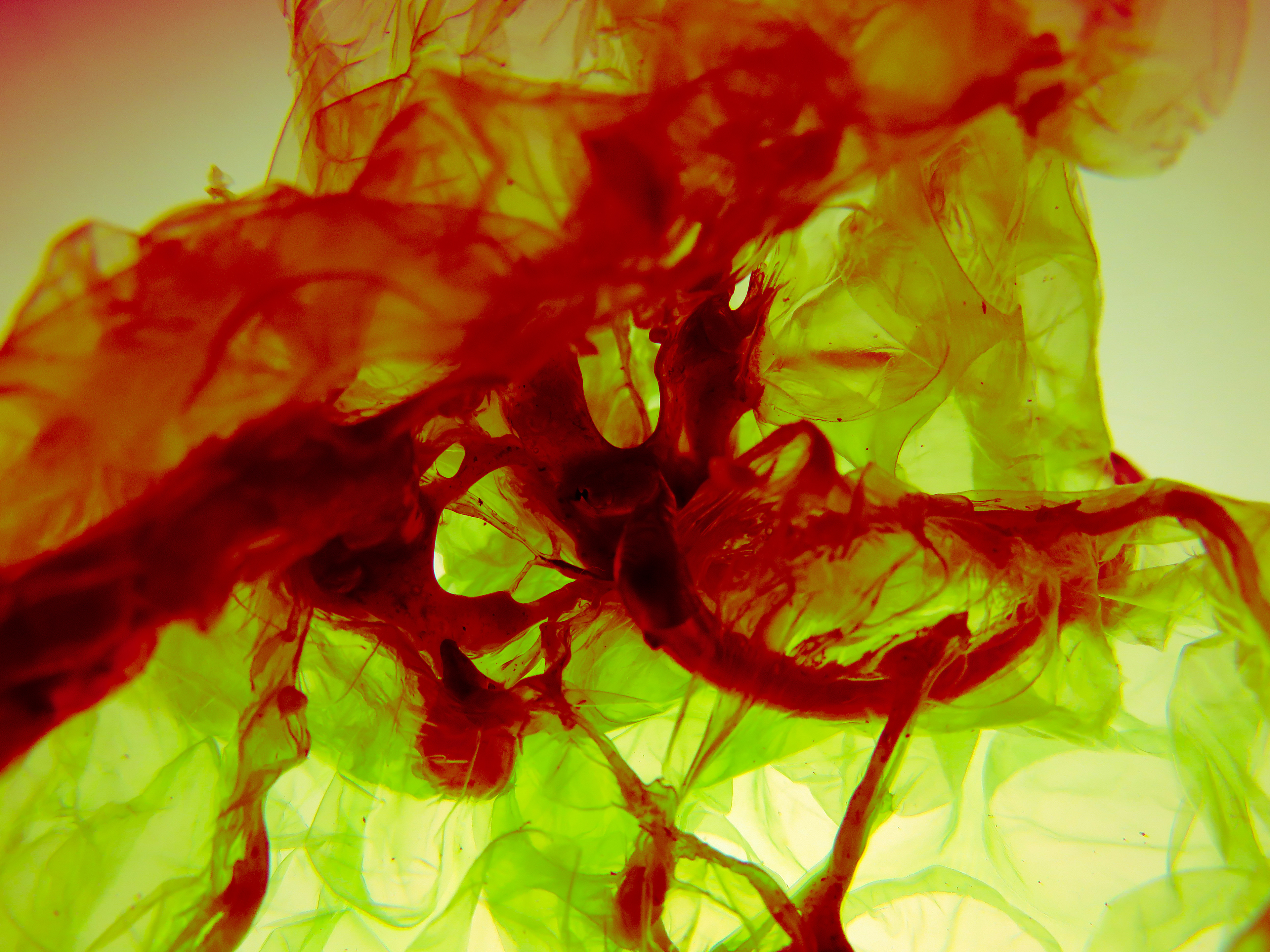 Bubble Wrap and Solder