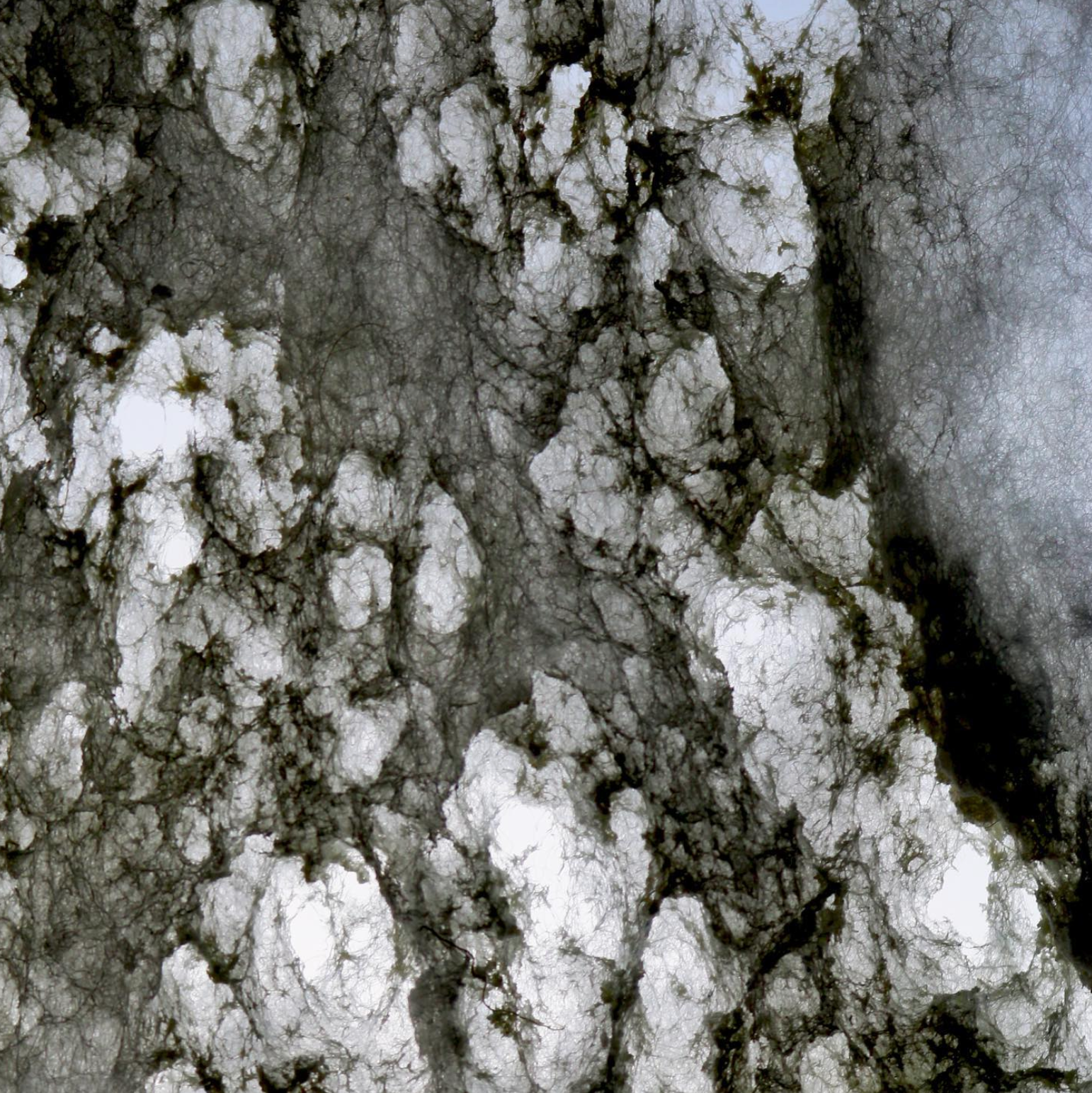 Melted Duvet Inner 