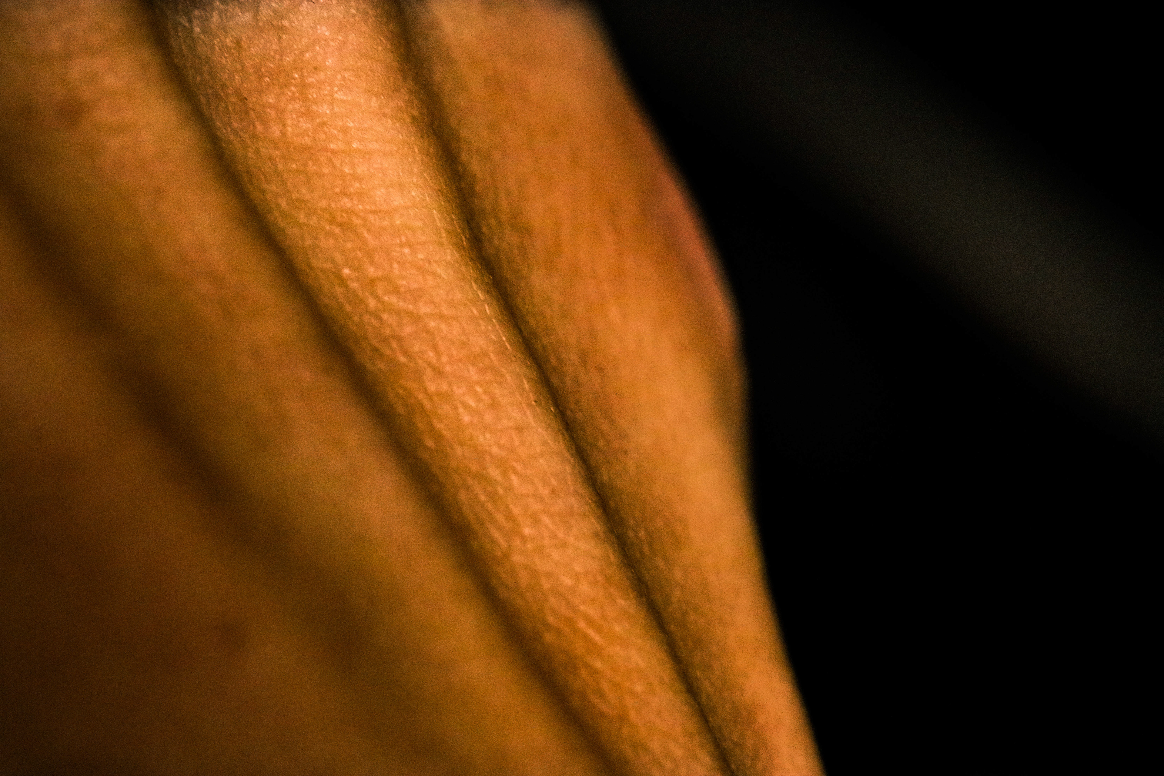 Top of Foot