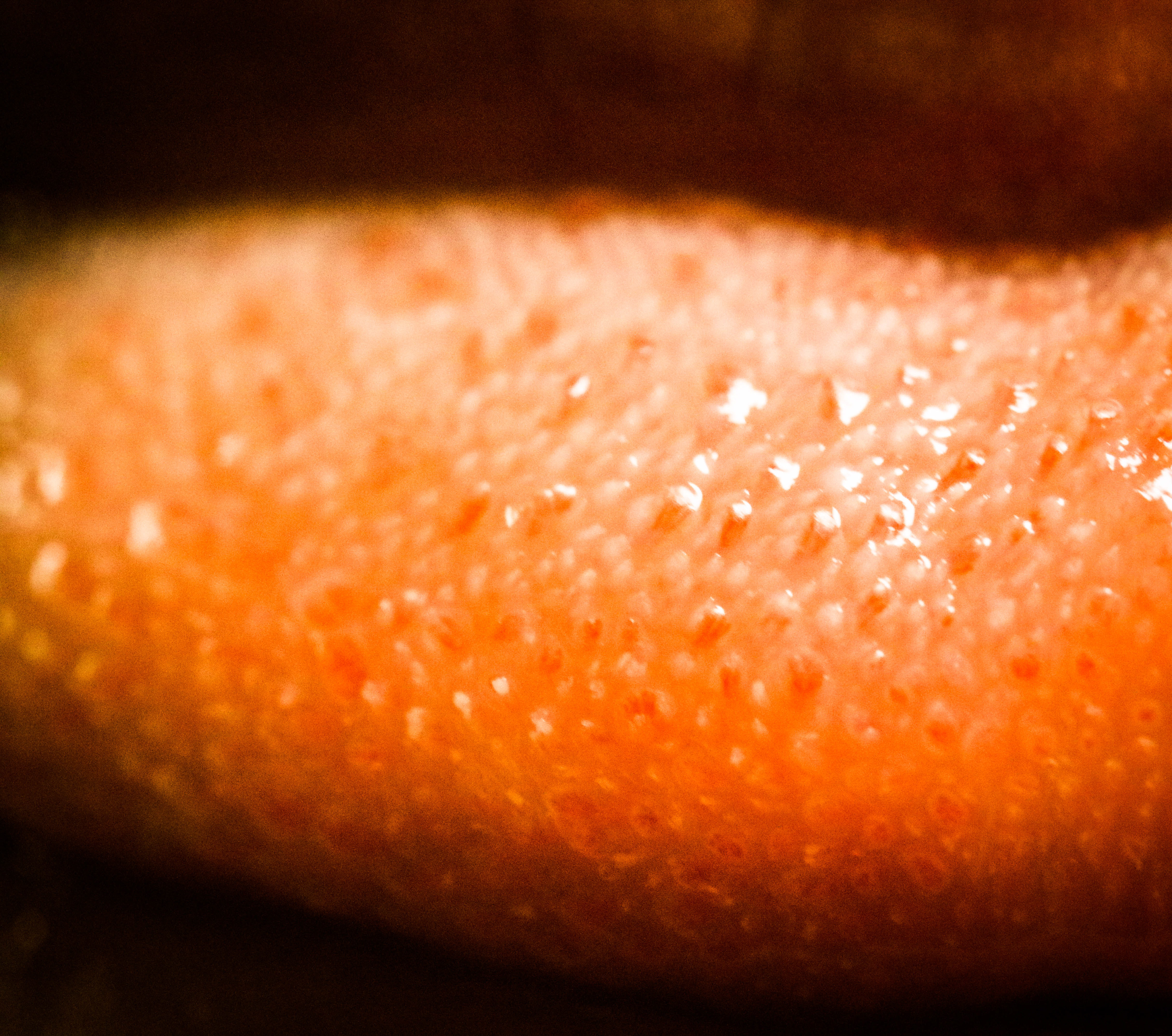 Tongue
