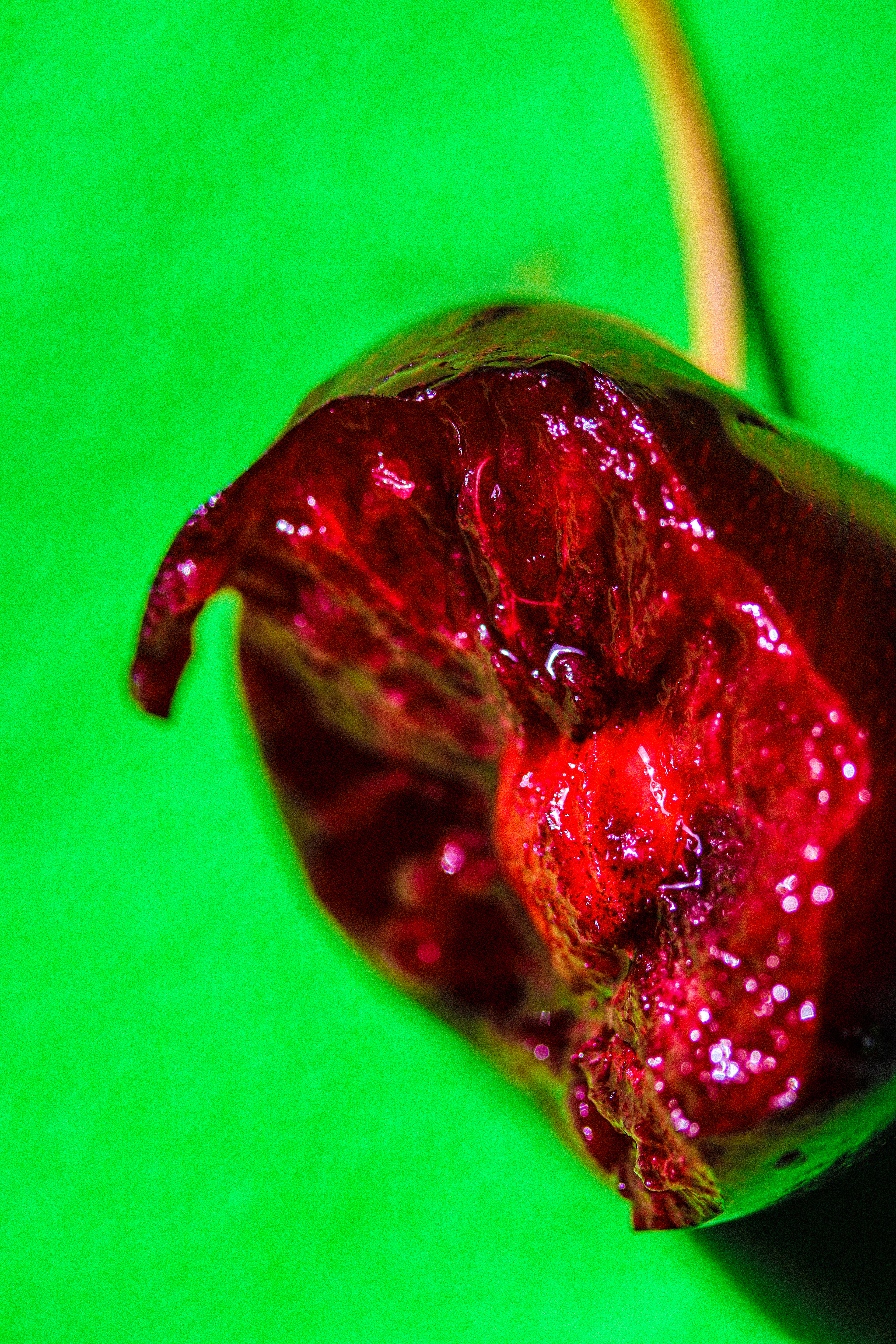Cherry