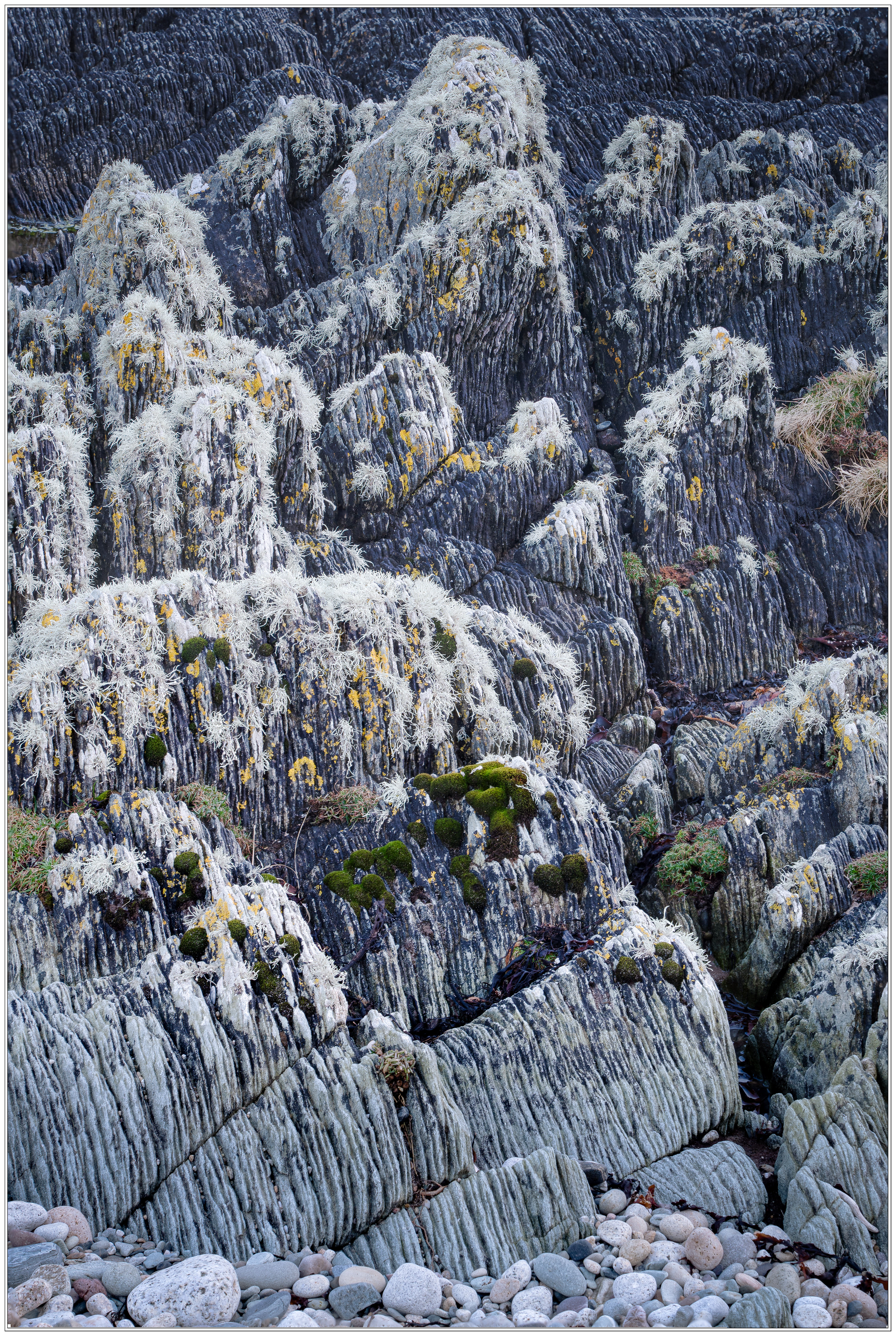Snow Capped Hills, Imachar