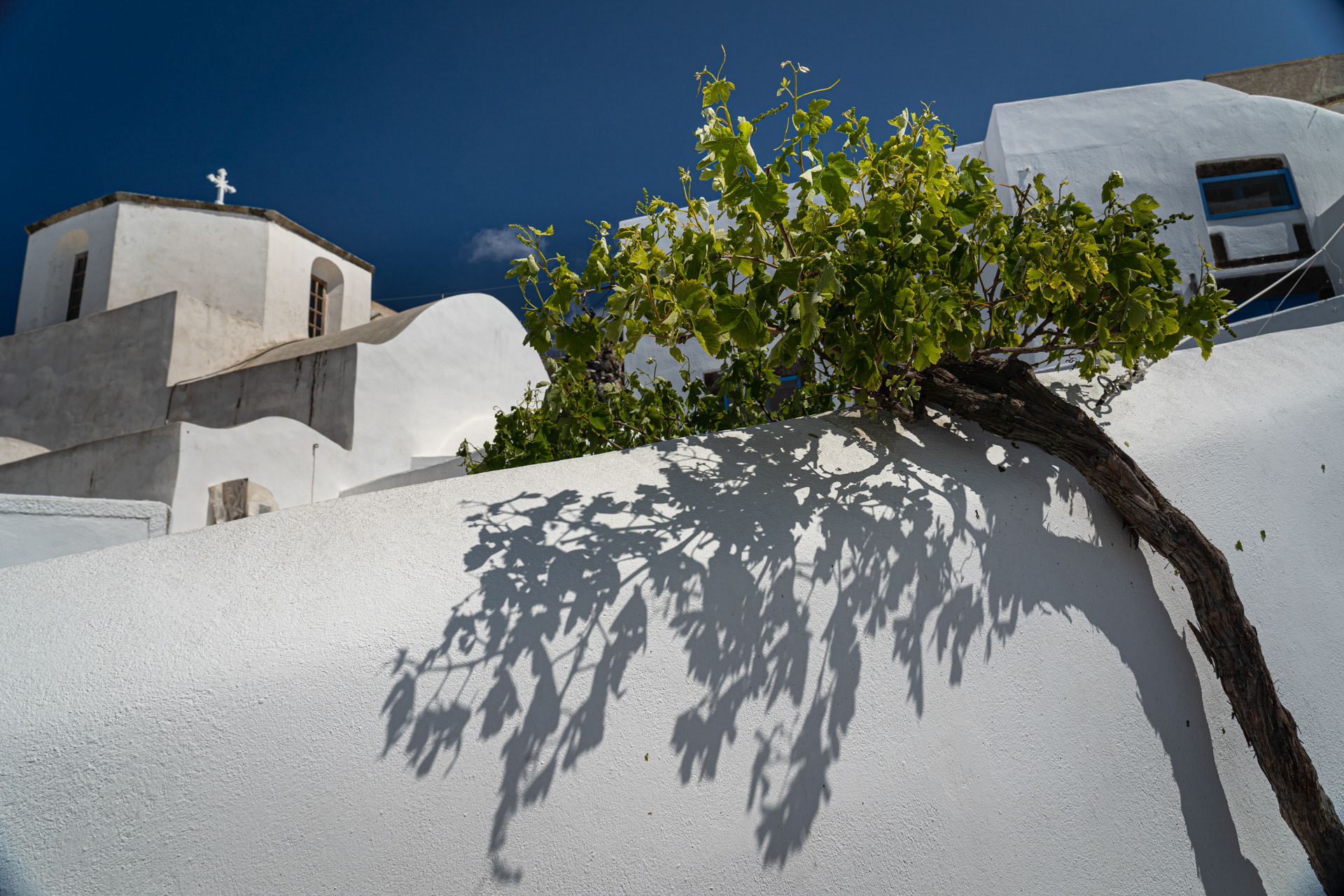 Old Vine, Pyrgos