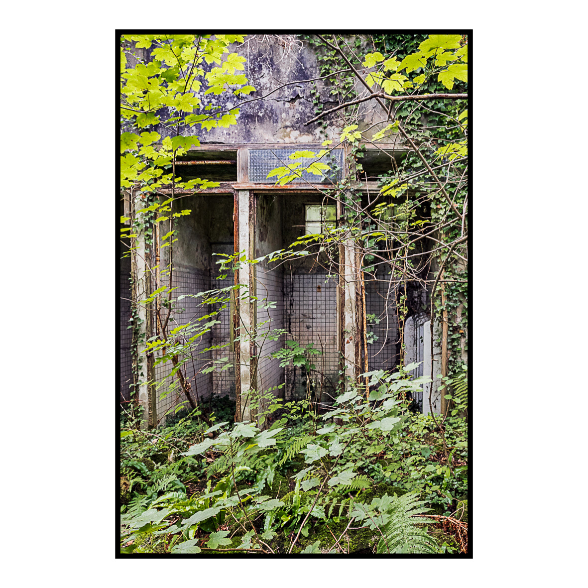 Commodités - Ecurey - Août 2017