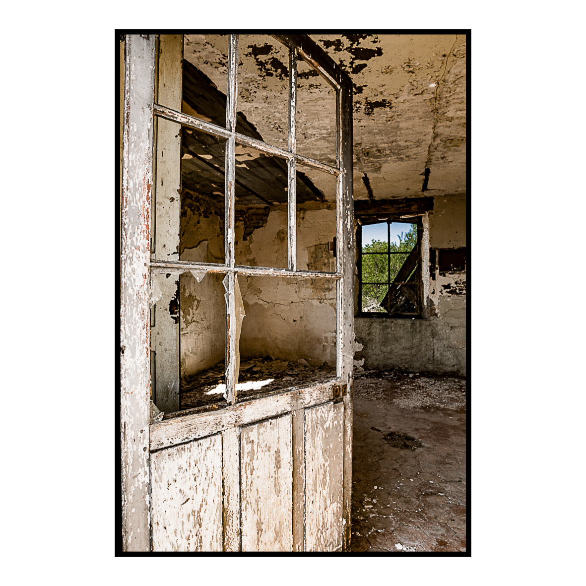 Fenêtre sur jardin - D115a - Juillet 2017