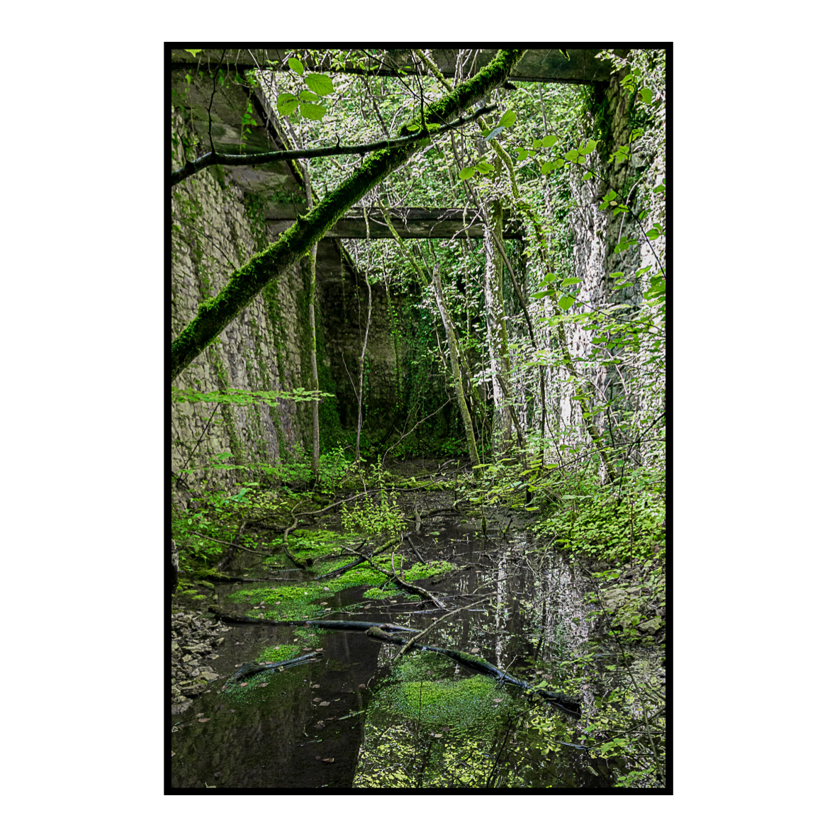 Fours à chaux - Tronville-en-barrois - Août 2017