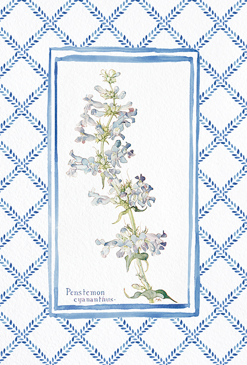 Hand painted border with vintage botanical art for CAG in house line