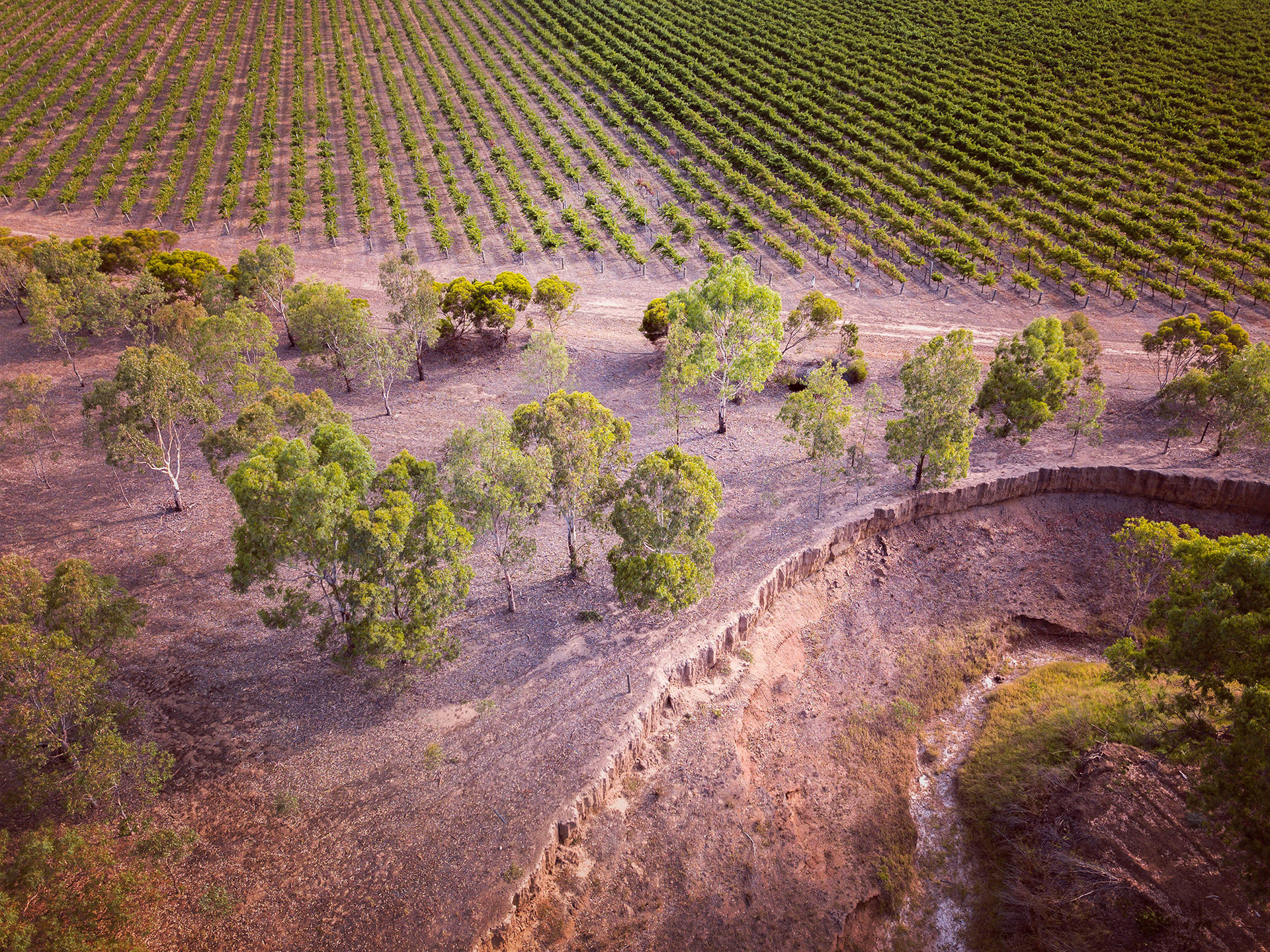 Woodburn Homestead (Langhorne Creek)