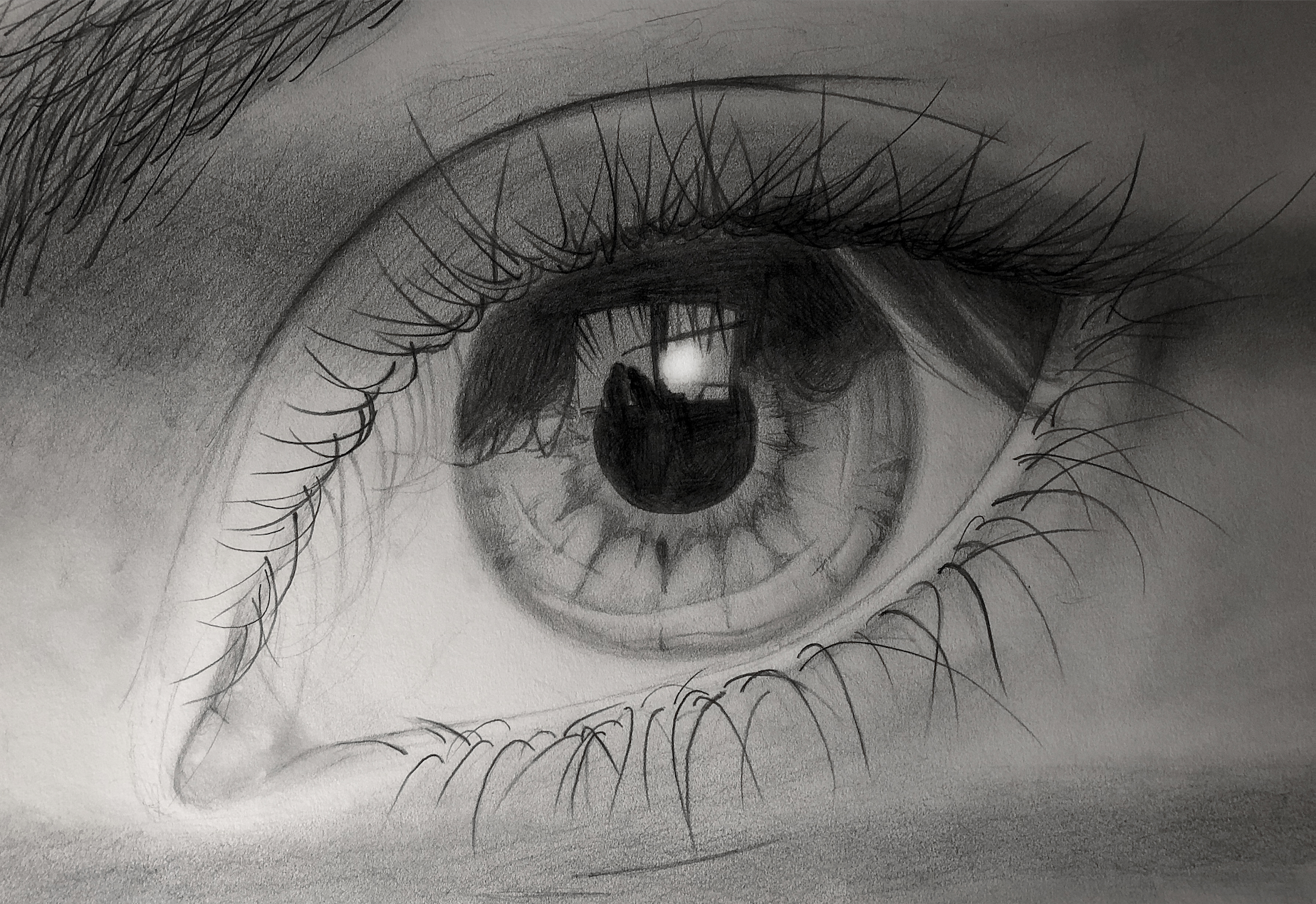 Eye, Graphite on Paper (18x24")