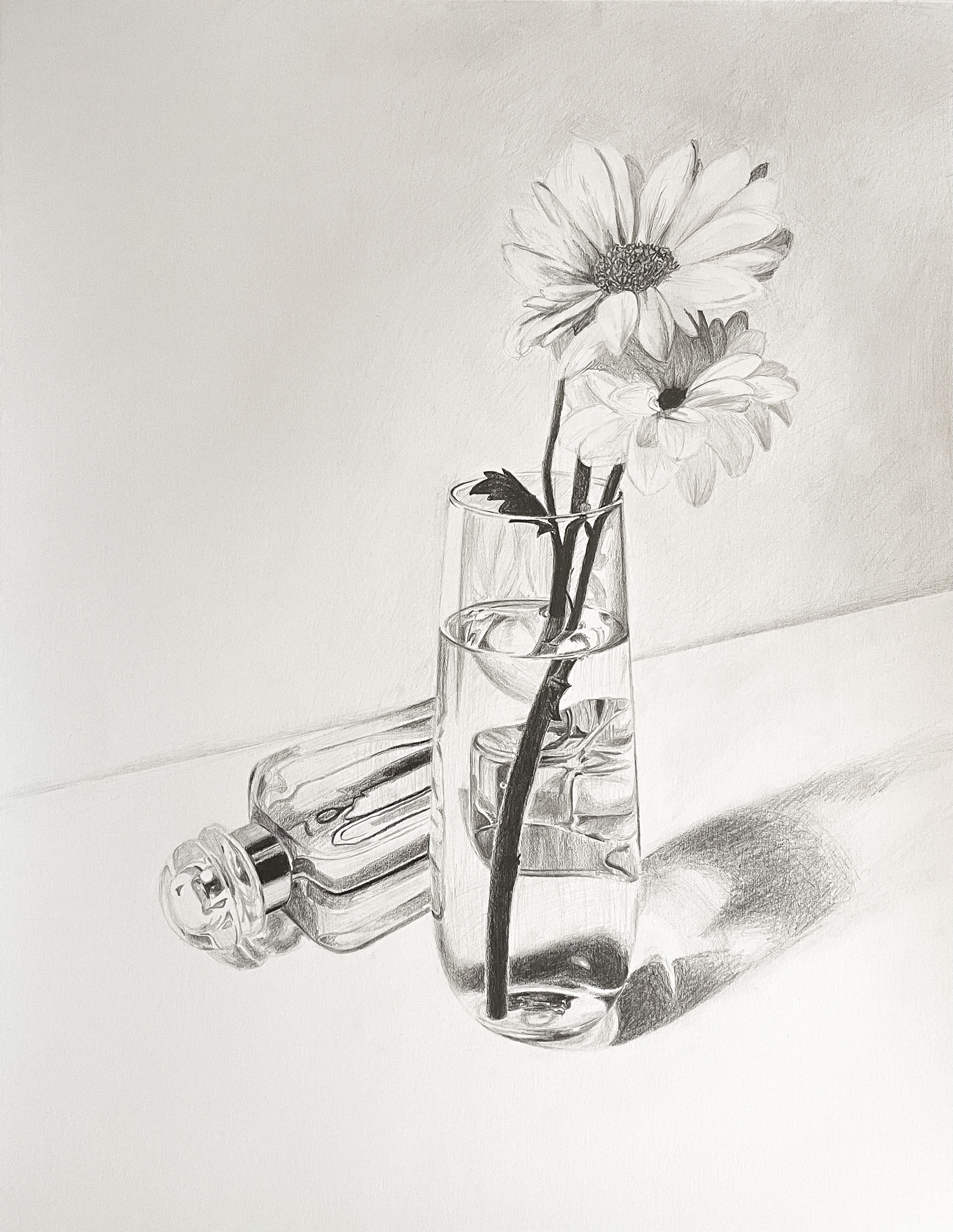 Glass Reflections, Graphite on Paper (18x24")