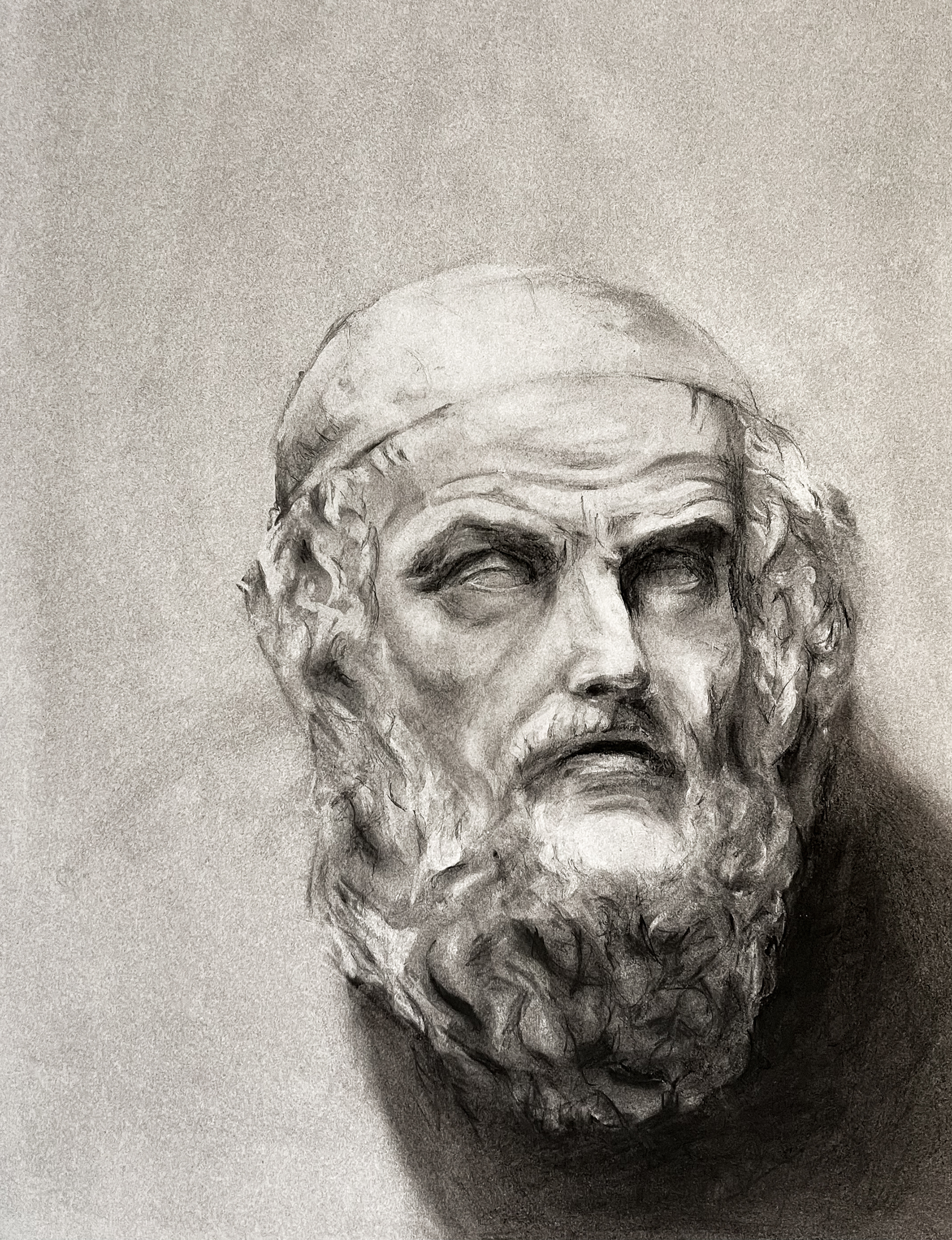 Portrait, Charcoal on Paper (18x24")