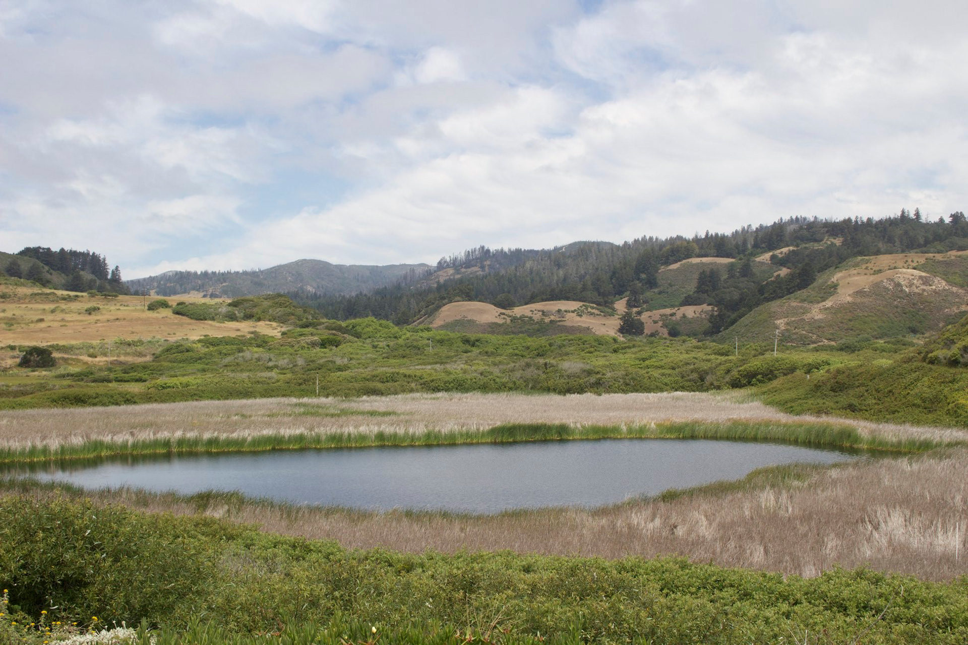 Off of Pacific Coast Hwy 1
