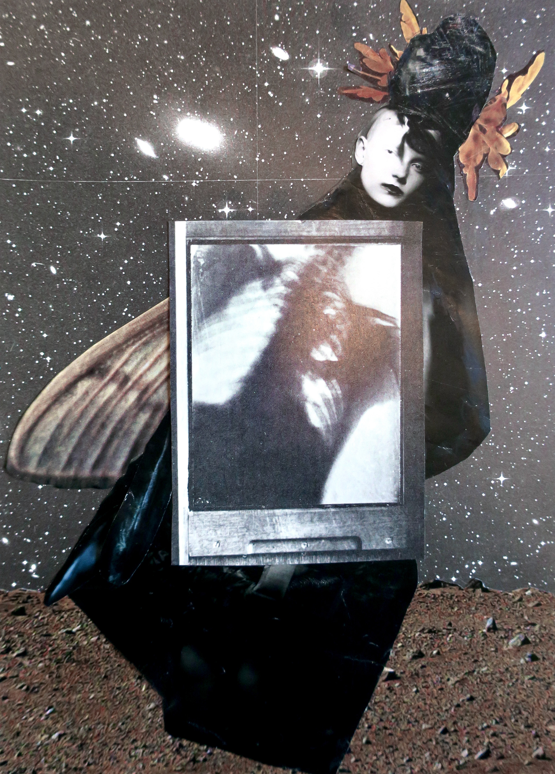 Migration, hand-cut collage, 2023, Marianne Connolly