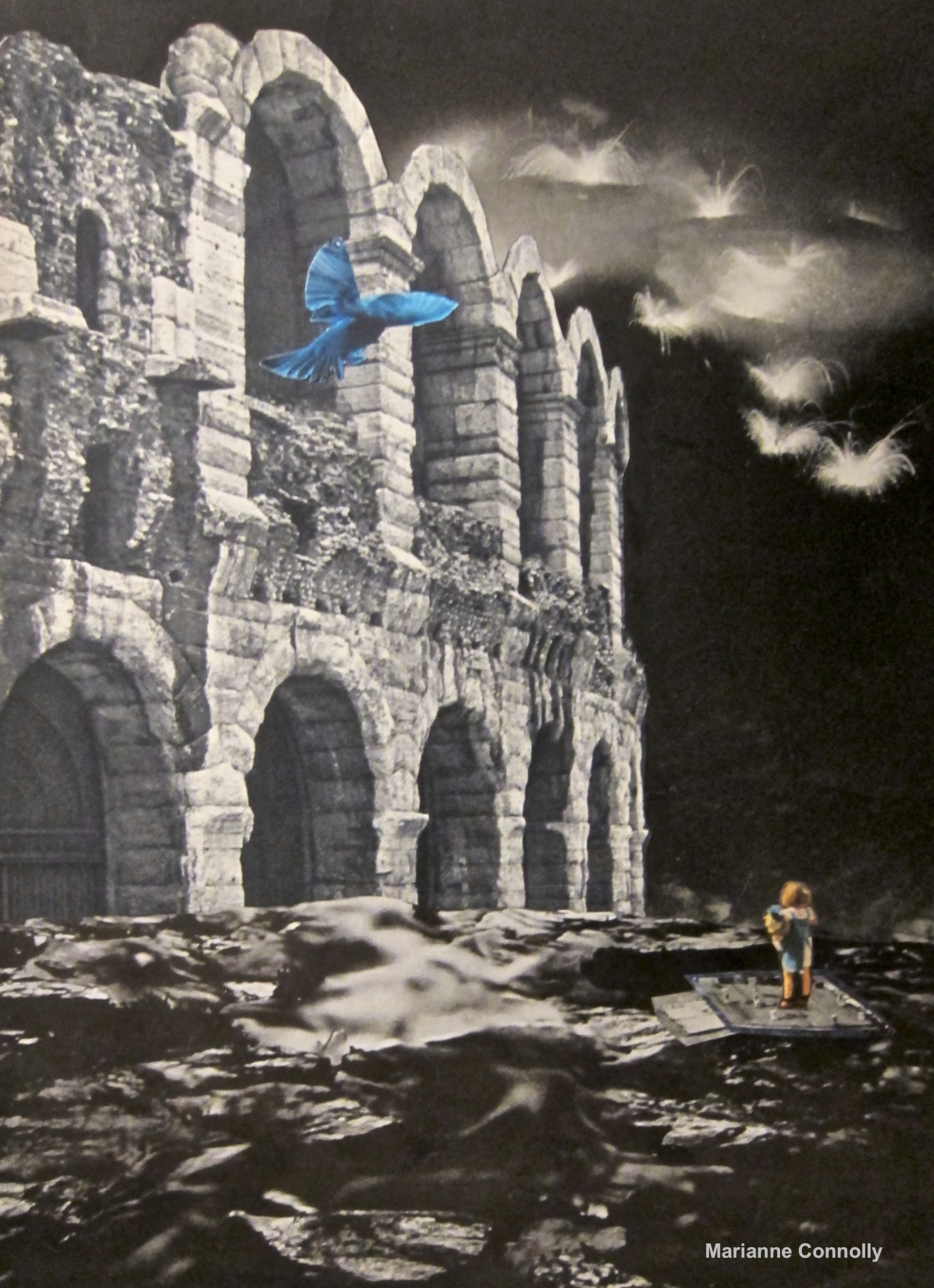 "Witness (Bird), Marianne Connolly, collage