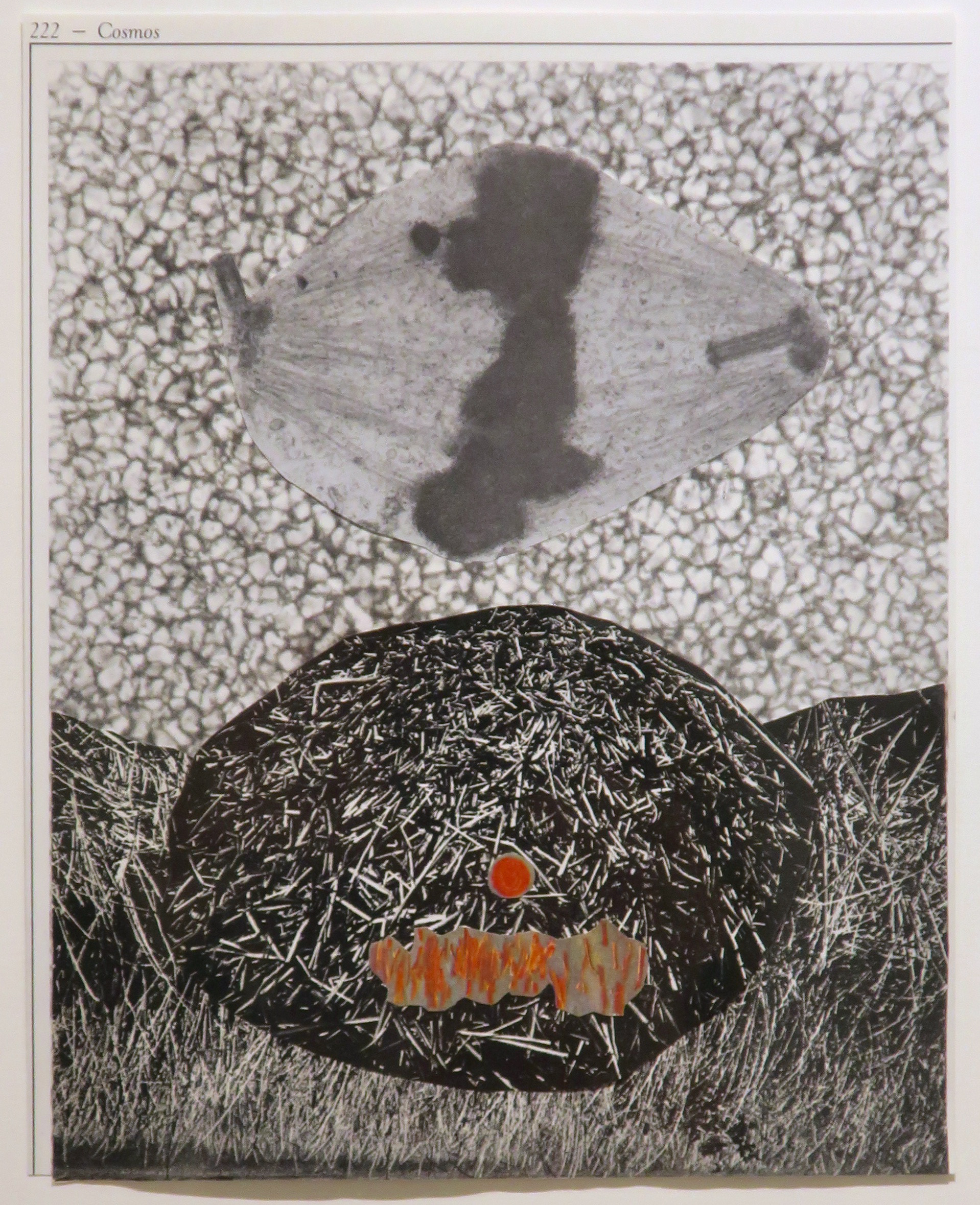 "Cosmos," Marianne Connolly, collage