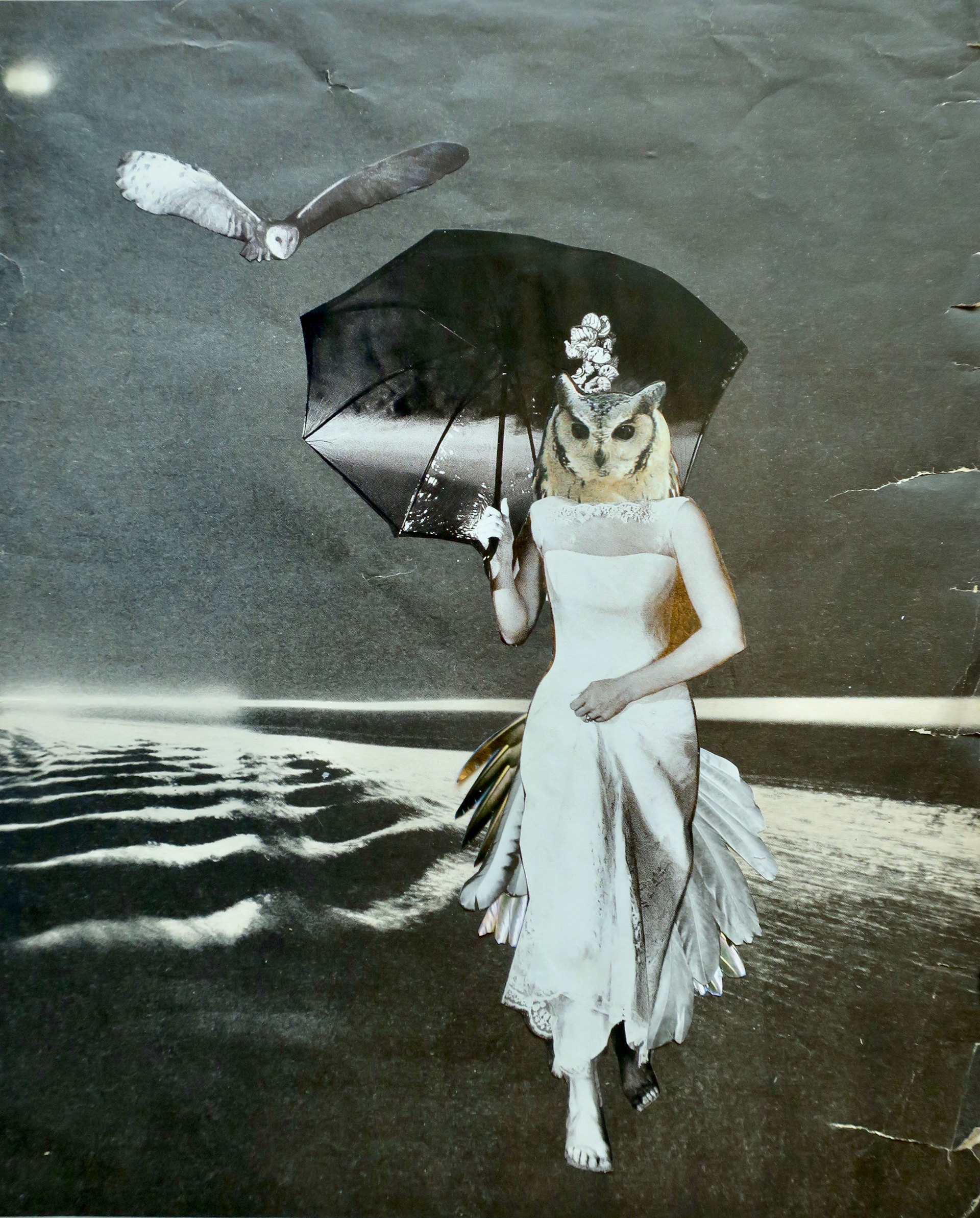 Minerva, hand-cut collage, Marianne Connolly