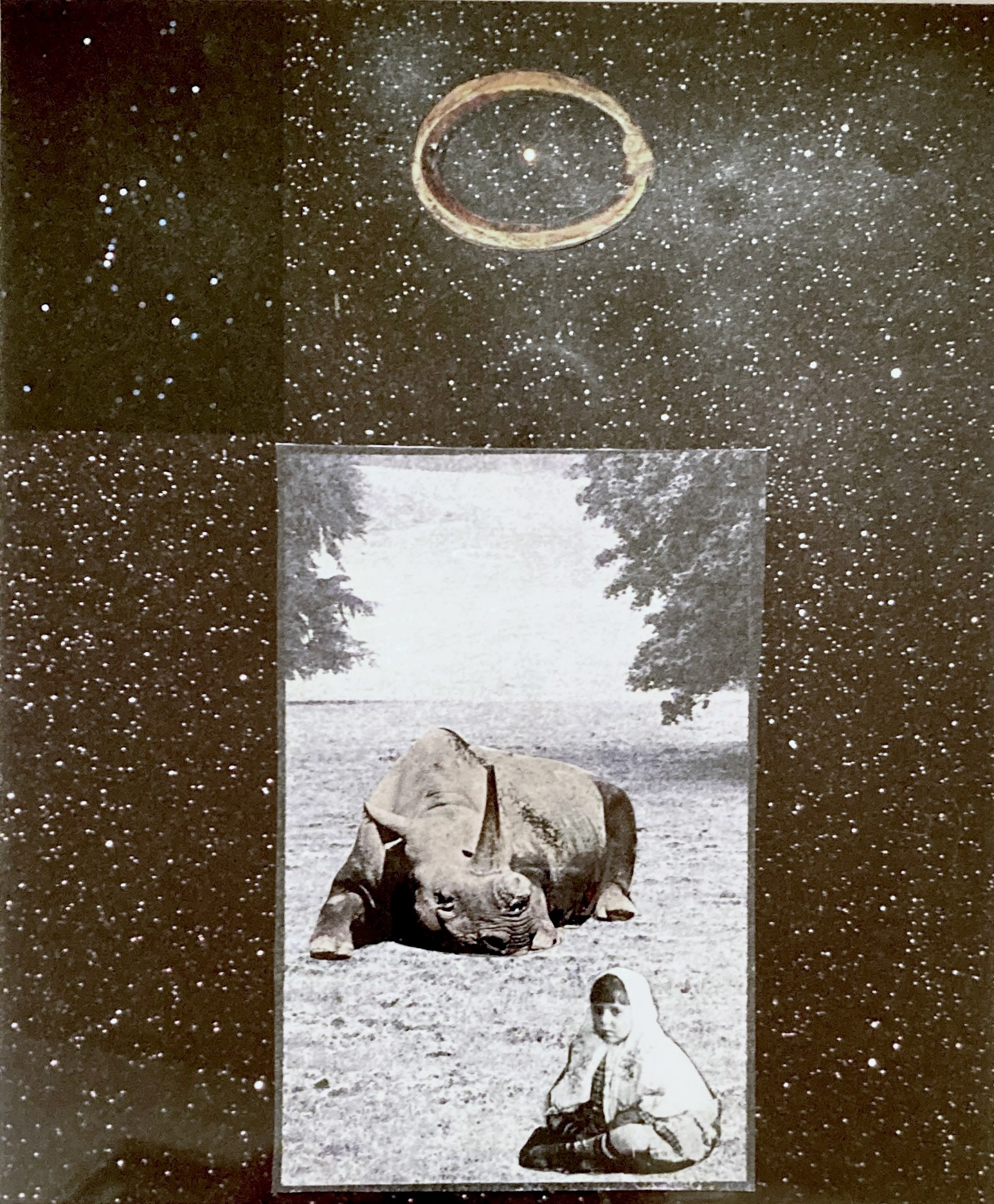 Lu's Long Journey 2, Marianne Connolly