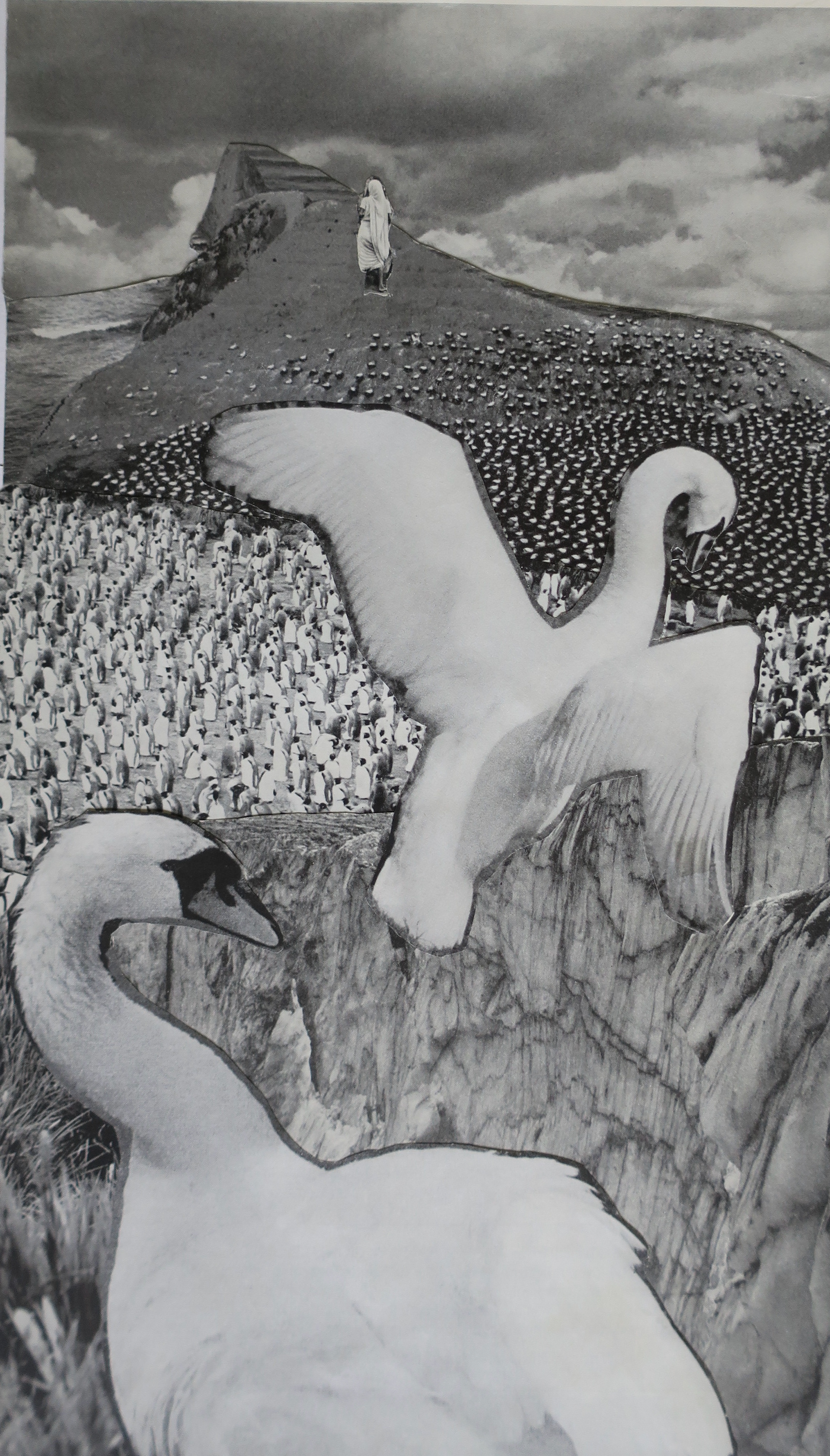 "Swan Walk," Marianne Connolly, collage