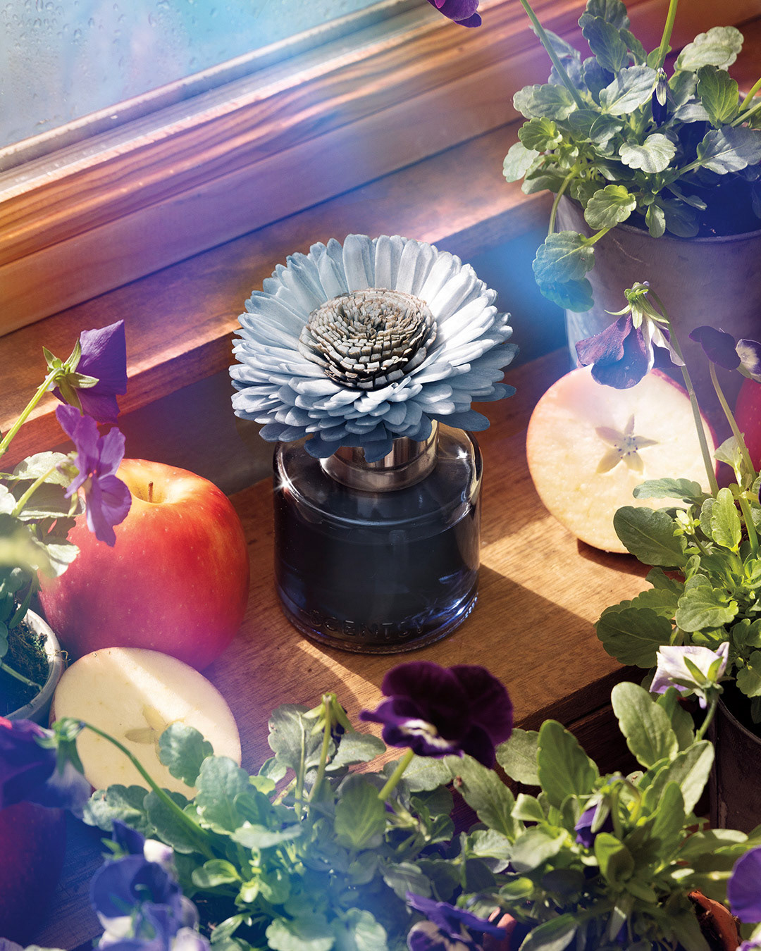 Petals & Puddles :: Art Direction