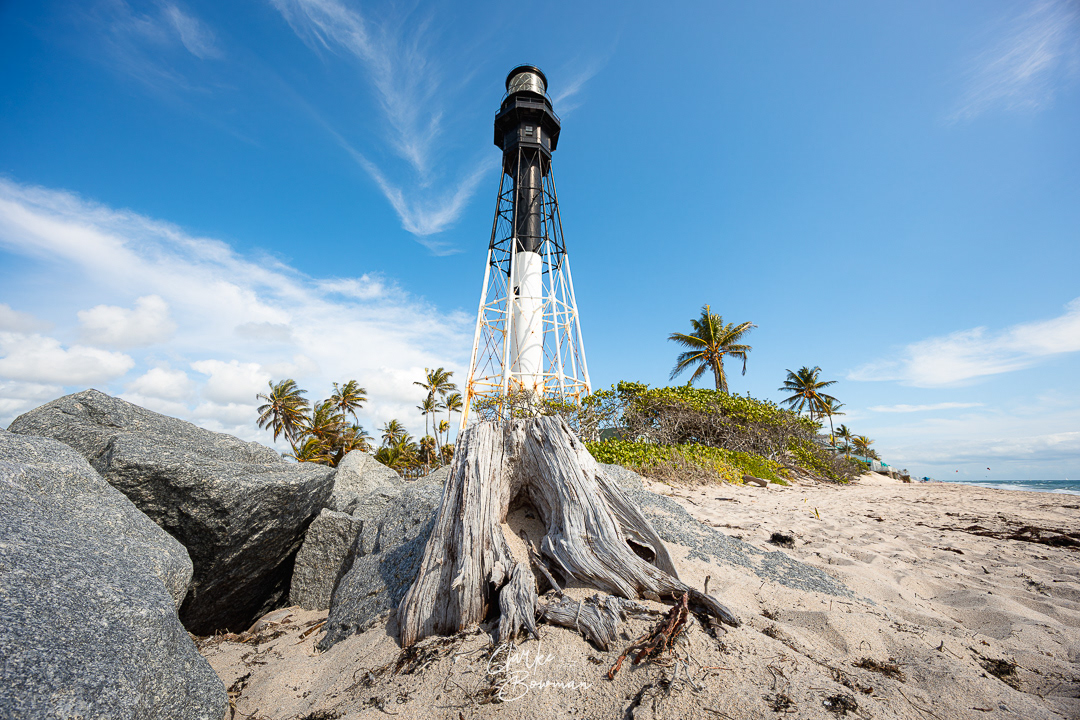 Hillsboro Lighthouse #6 - Driftwood