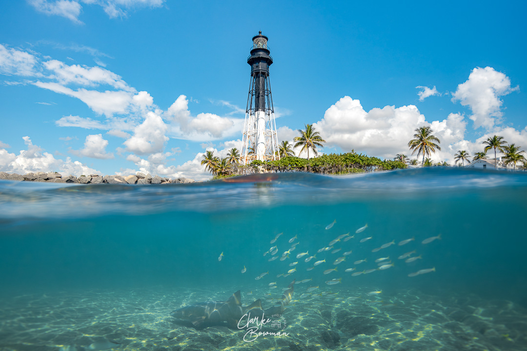 Hillsboro Lighthouse #2 - Lighthouse Lookout & Shark Patrol