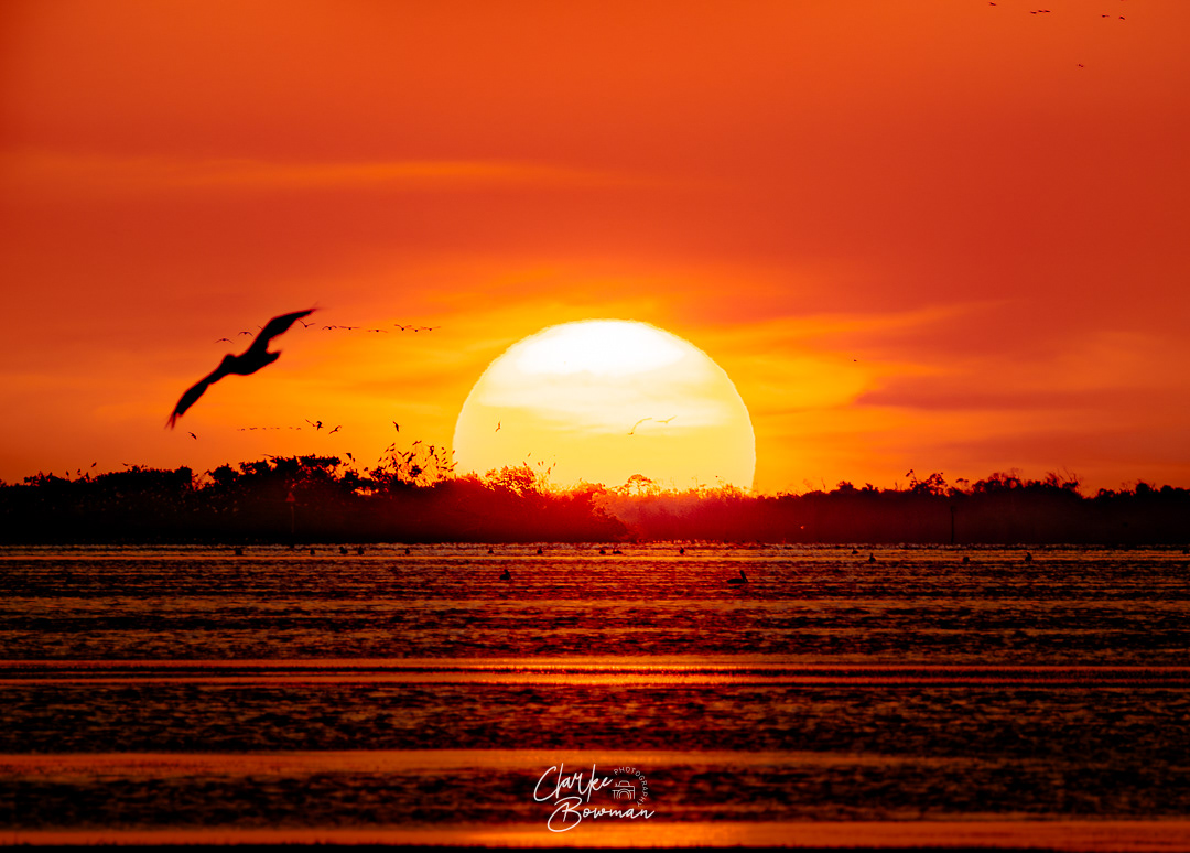 Pine Island #1 - Final Flight