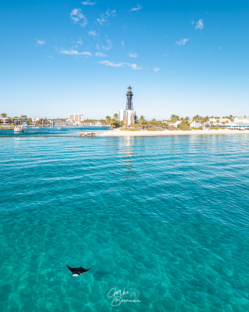 Hillsboro Lighthouse #9 - Manta Ray