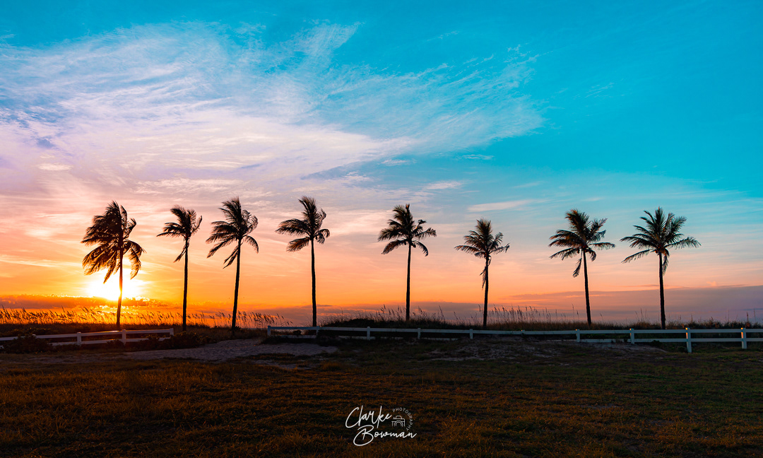 Lauderdale-by-the-Sea #1 - Morning Meeting