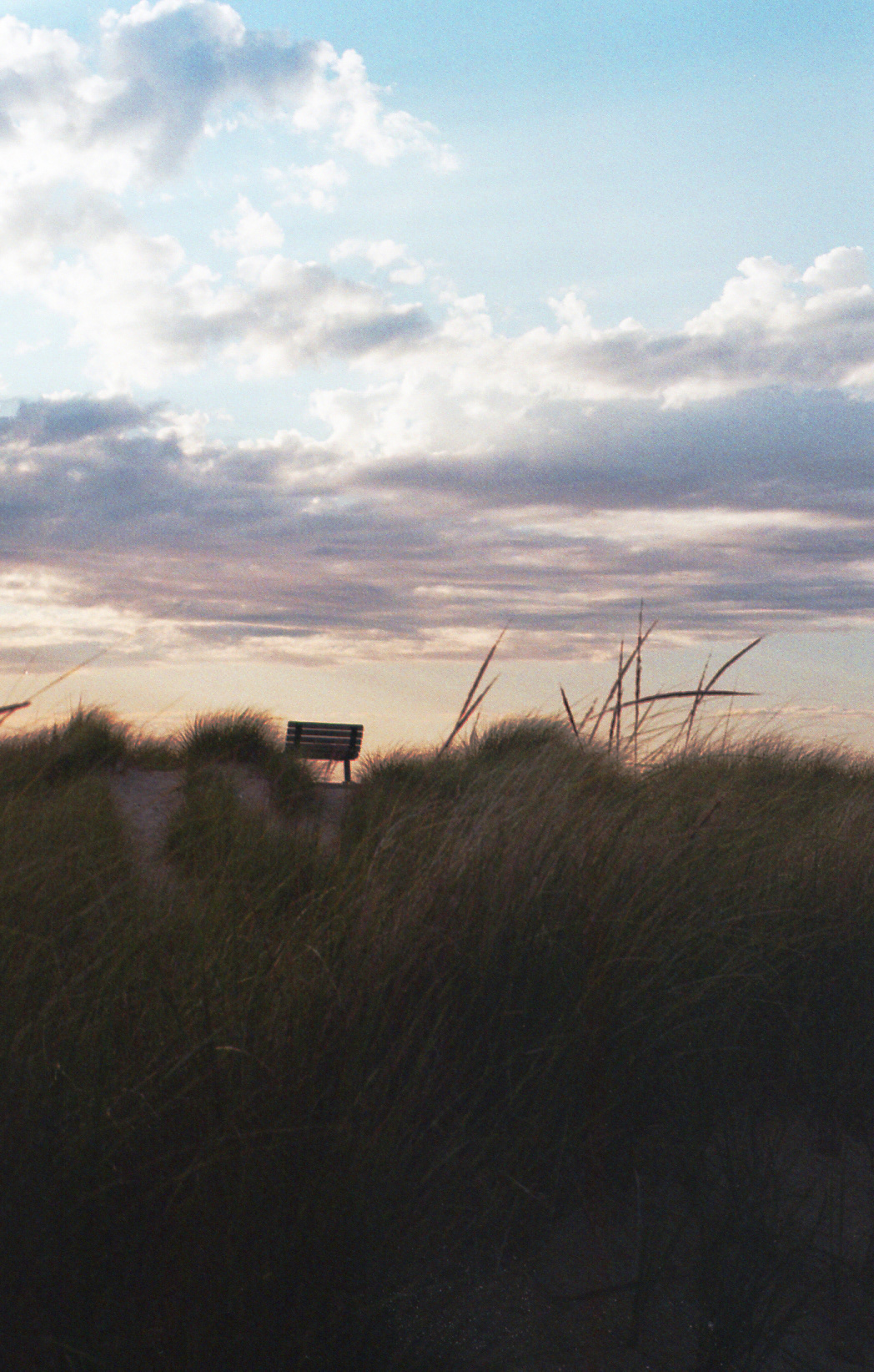 Fuji Superia X-TRA 400