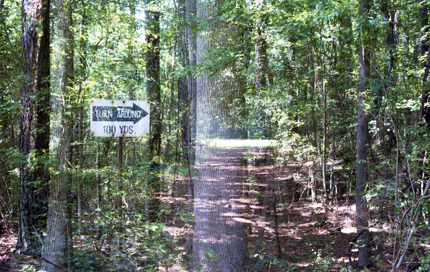 Kodak Gold 200