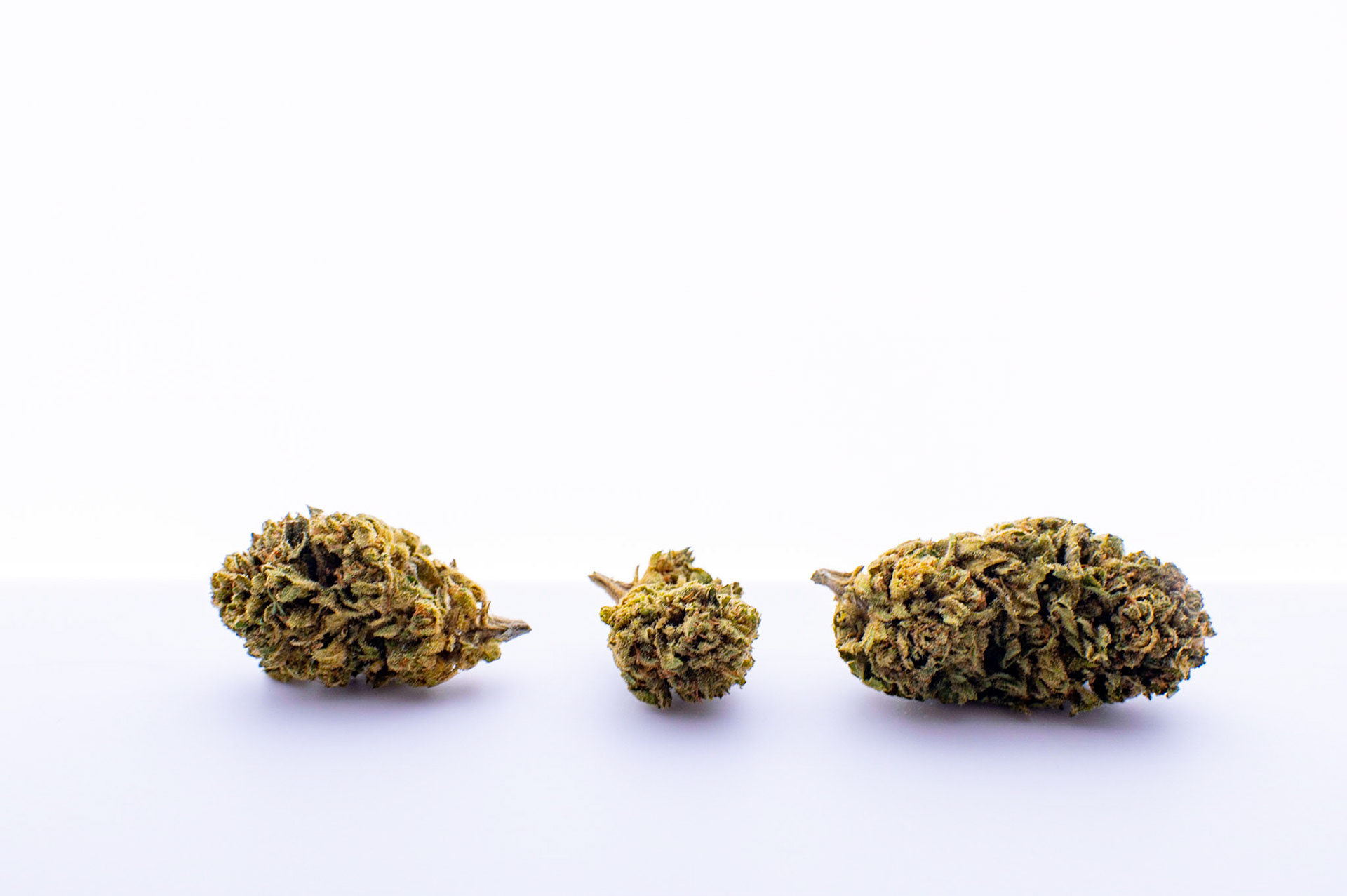 Phytocann, Le plus gros producteur de CBD Cannabis Légal en Europe. Le site de conditionnement et le stock de Phytocann. Les stocks et les produits. Villeneuve, Canton de Vaud, Suisse, 29 &amp; 30 Septembre 2021.