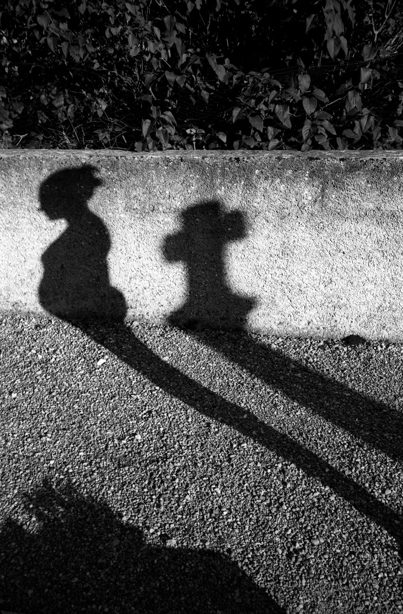 9 mois et toi : suite photographique sur les 9 mois d'une femme enceinte.France, mars-septembre 2006