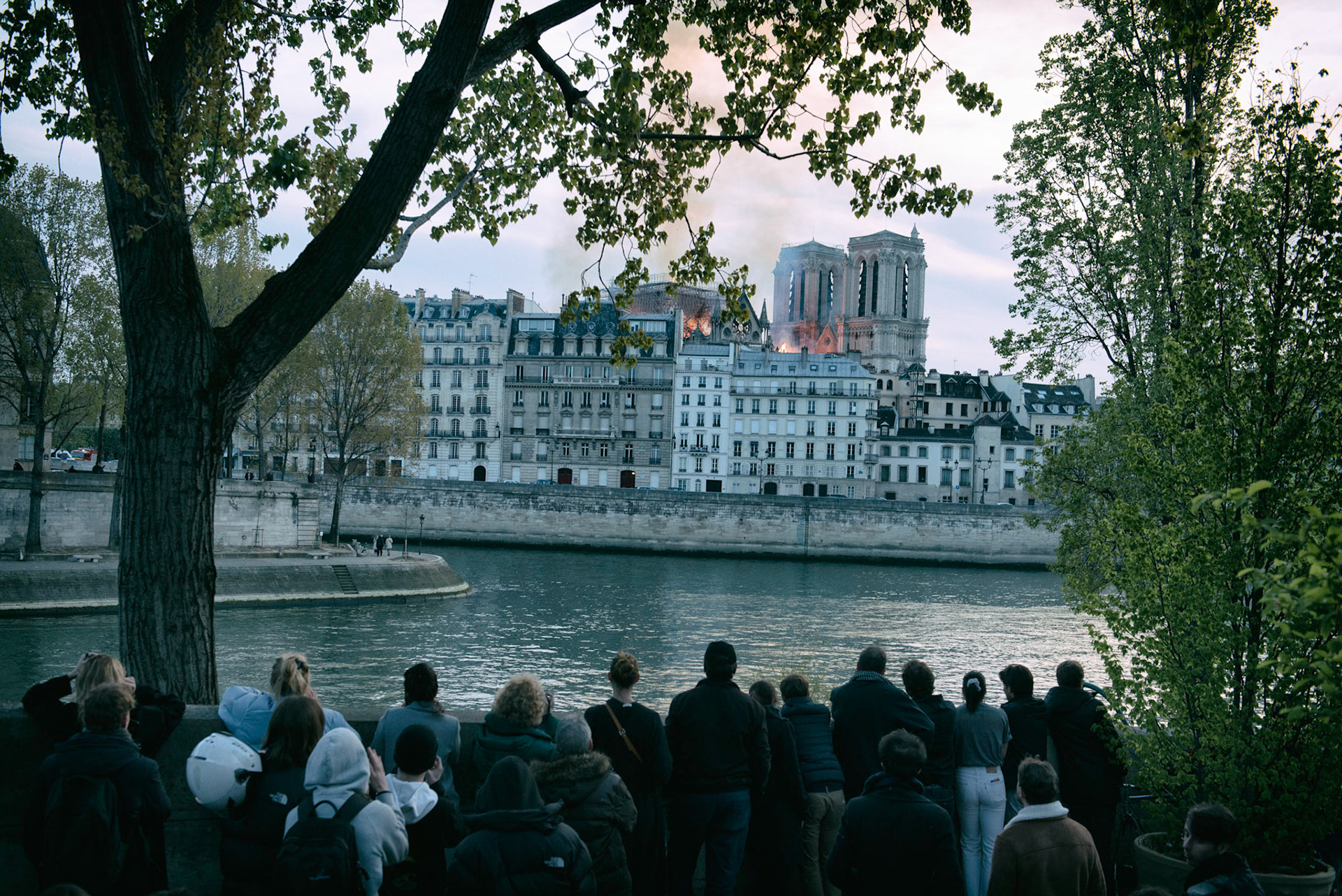 Incendie de la cathédrale Notre-Dame de Paris. Le feu a pris dans la toîture de l'édifice vers 18h50. 1 heure après le début de l'incendie la flèche s'effondrait. Les parisiens regardent stupéfait un symbole de leur ville partir en fumée. Paris, 15 avril 2019.