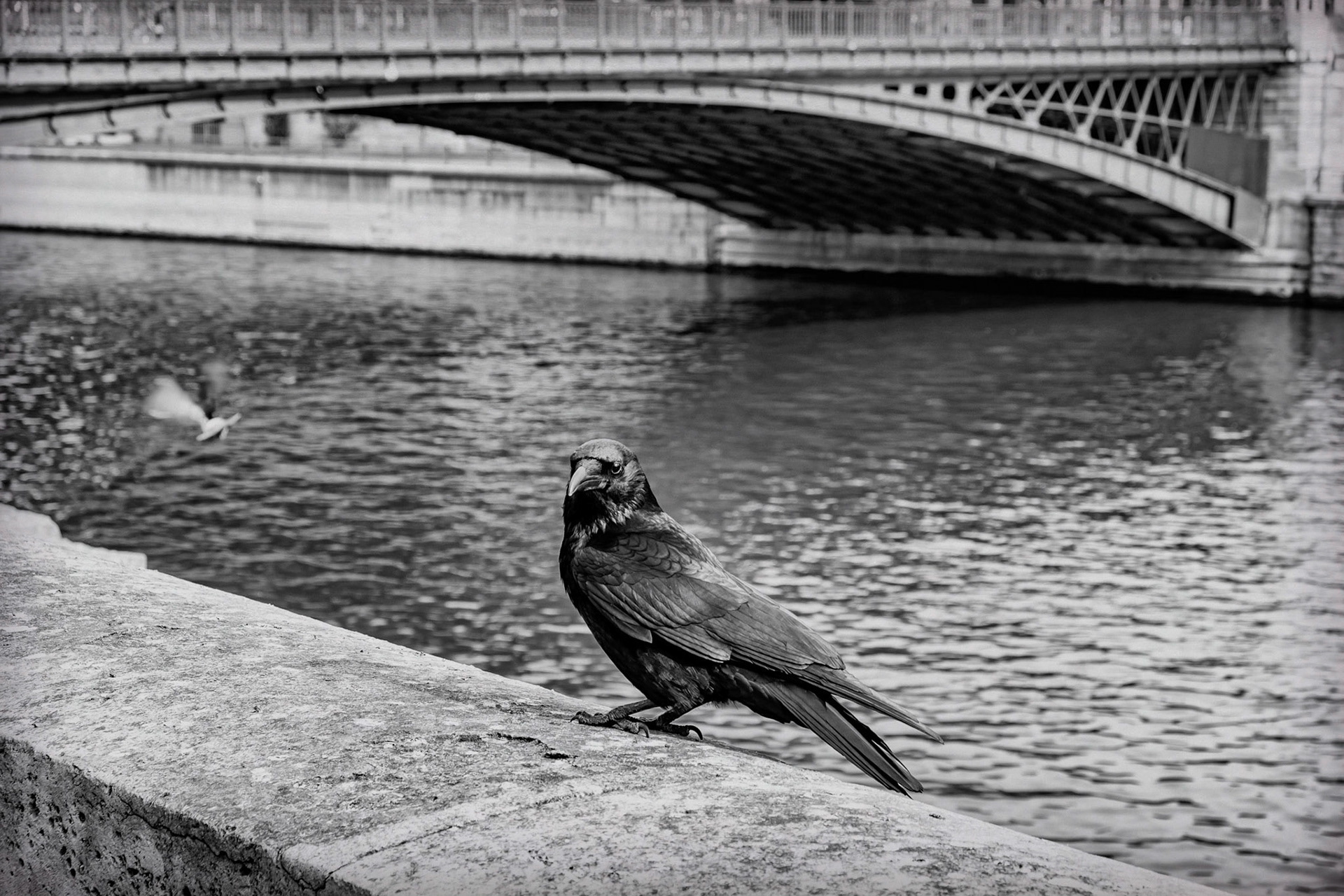 11 avril 2020. En France la police est appelée pour dénoncer les manquements aux mesures de confinement. Un phénomène révélateur des angoisses du moment qui n’est pas sans rappeler certains comportements observés sous l’occupation. C’est le retour du corbeau.