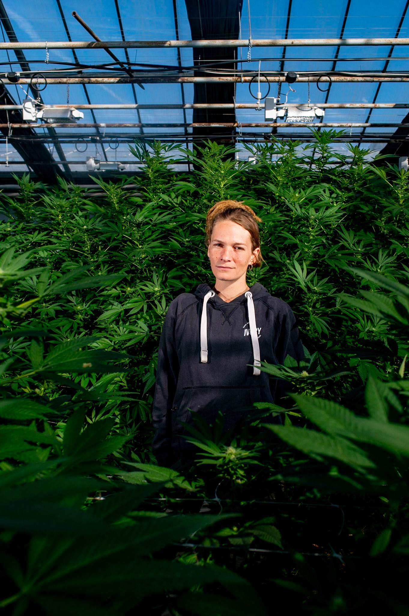 Phytocann, Le plus gros producteur de CBD Cannabis Légal en Europe. Yvorn, Canton de Vaud, Suisse, 29 &amp; 30 Septembre 2021.