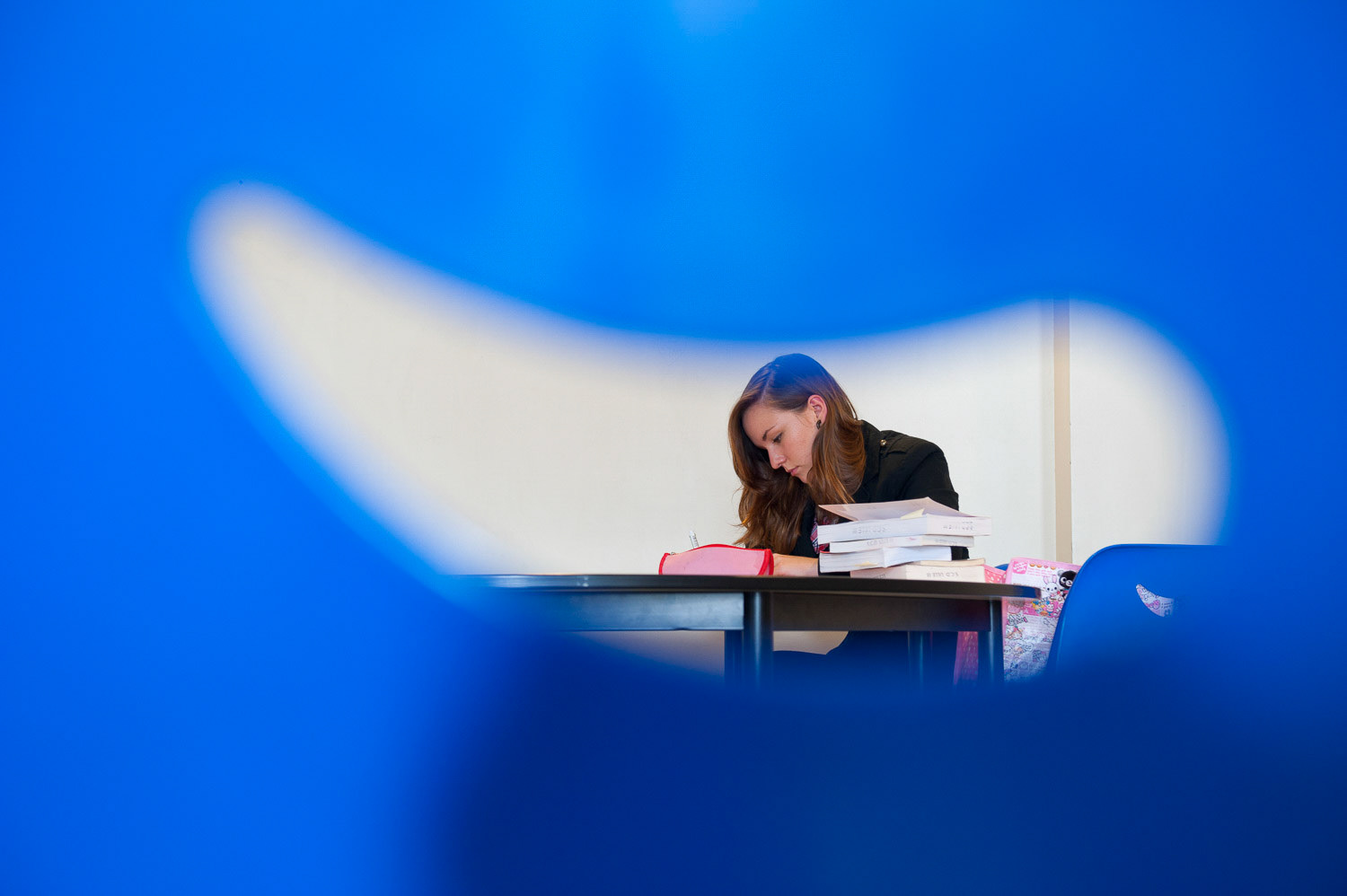 Sciences Po Lille. Lille, 26 MARS 2013.