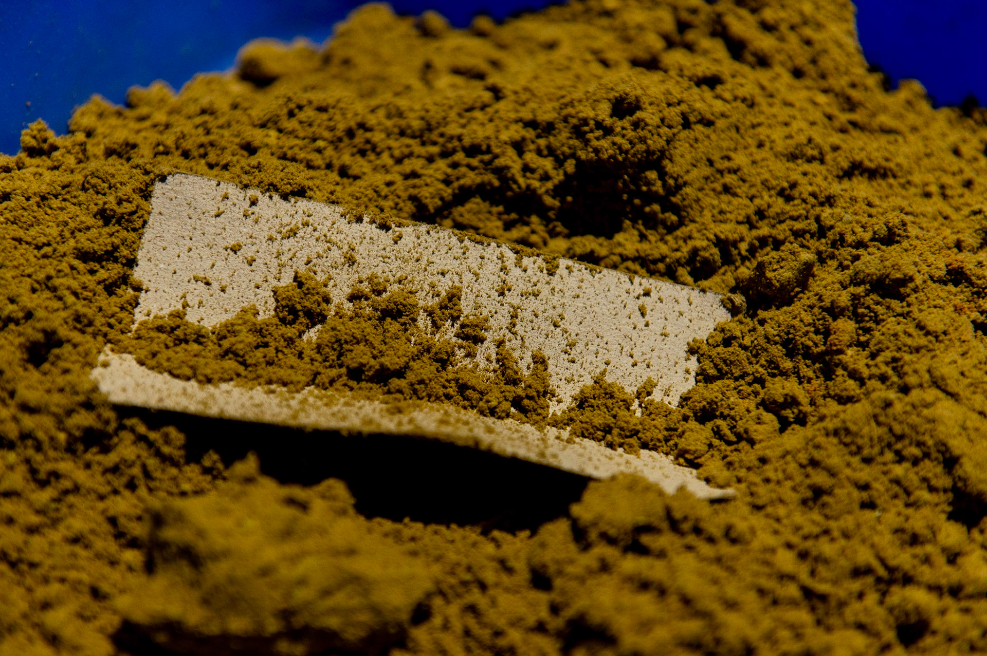 Phytocann, Le plus gros producteur de CBD Cannabis Légal en Europe. Le site de conditionnement et le stock de Phytocann. Villeneuve, Canton de Vaud, Suisse, 29 &amp; 30 Septembre 2021.