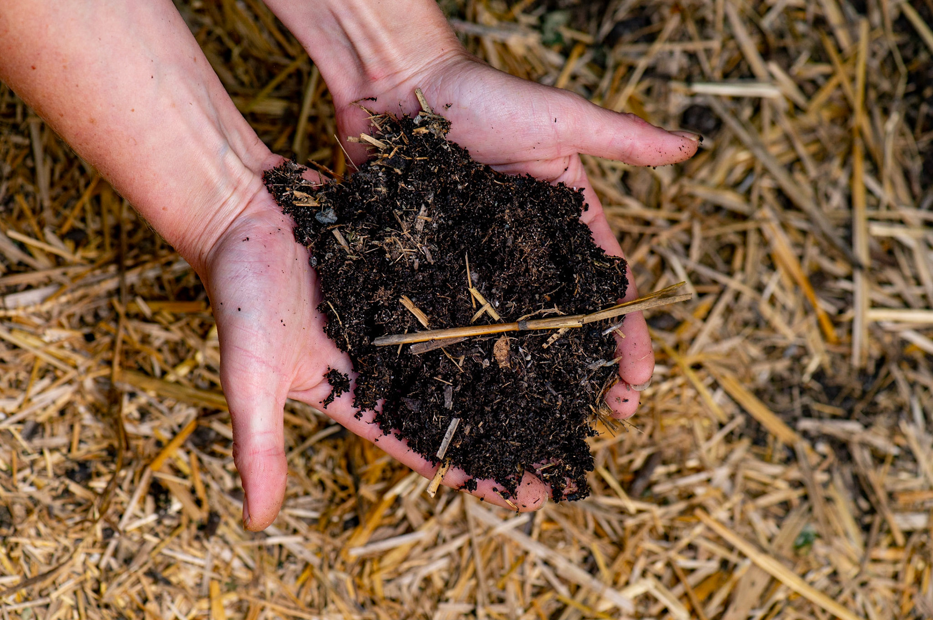 Phytocann, Le plus gros producteur de CBD Cannabis Légal en Europe. Yvorne, Canton de Vaud, Suisse, 29 &amp; 30 Septembre 2021.
