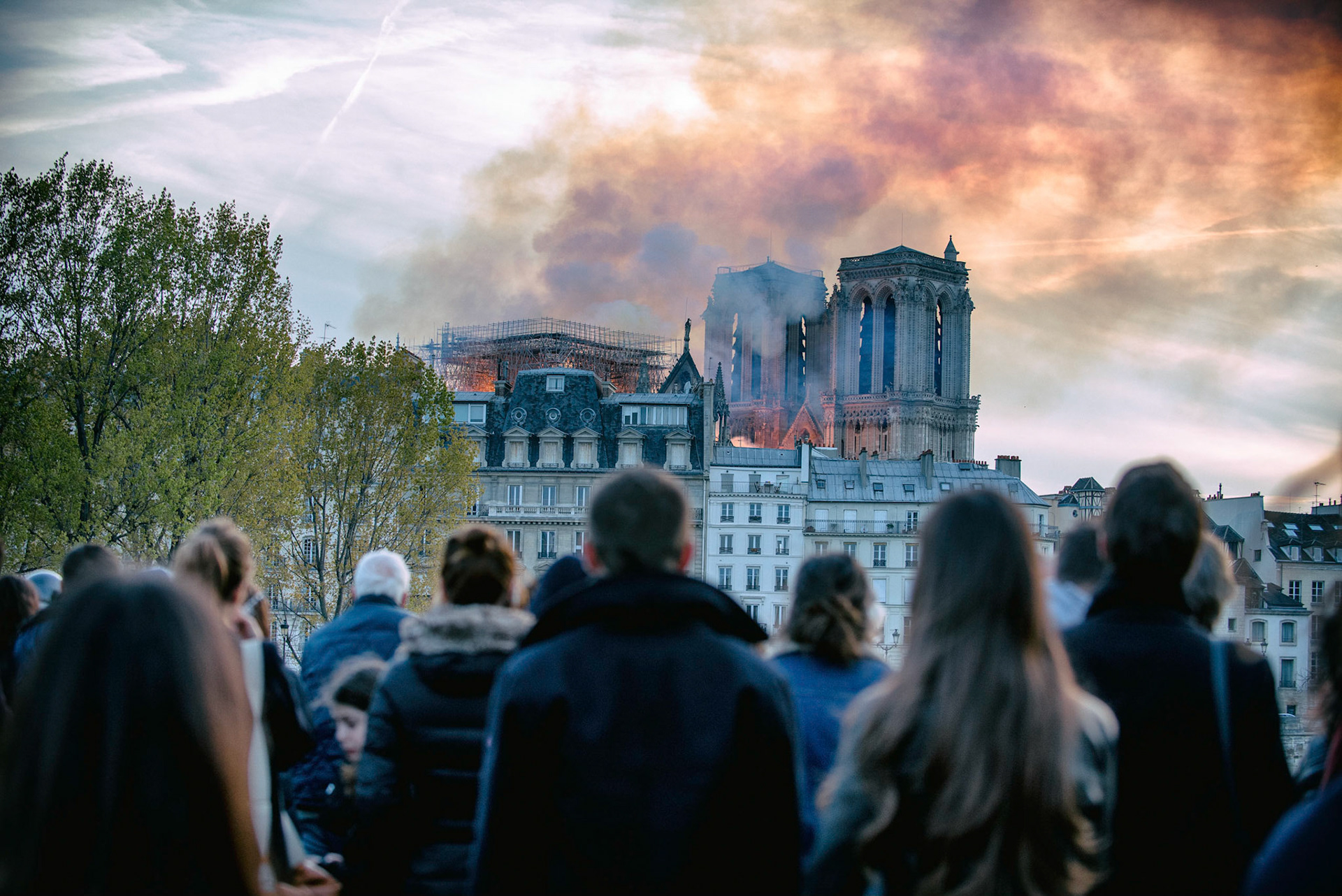 Incendie de la cathédrale Notre-Dame de Paris. Le feu a pris dans la toîture de l'édifice vers 18h50. 1 heure après le début de l'incendie la flèche s'effondrait. Les parisiens regardent stupéfait un symbole de leur ville partir en fumée. Paris, 15 avril 2019.