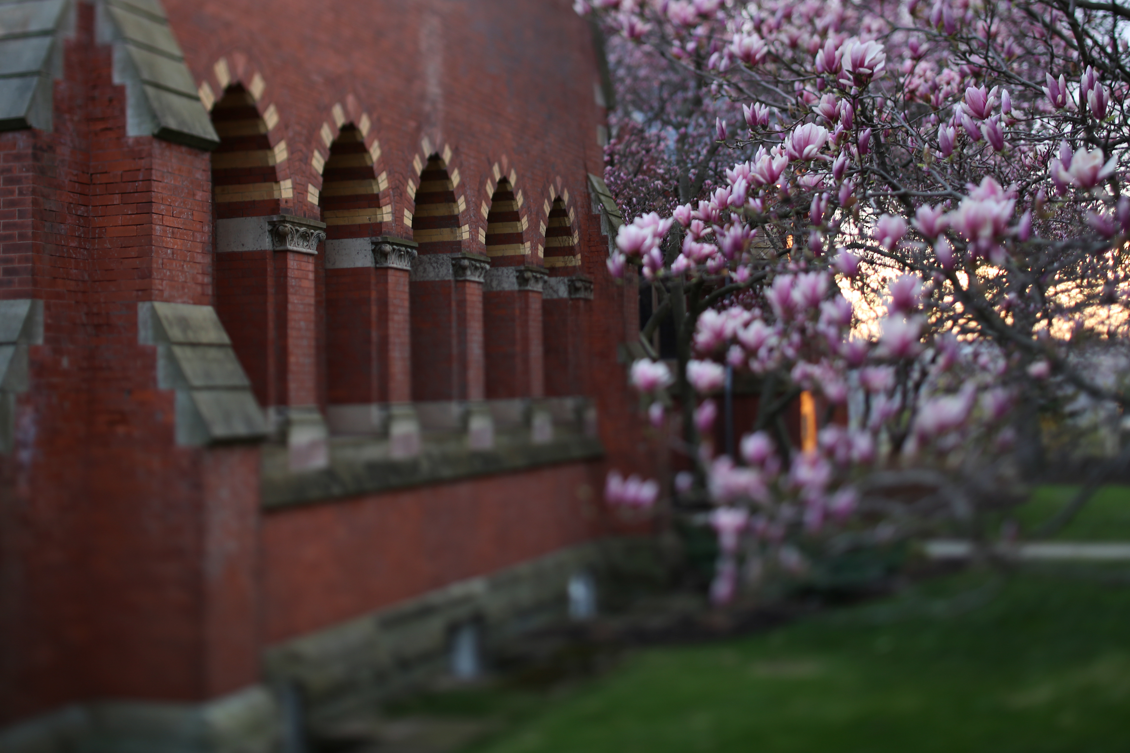 Sage Chapel, 2021