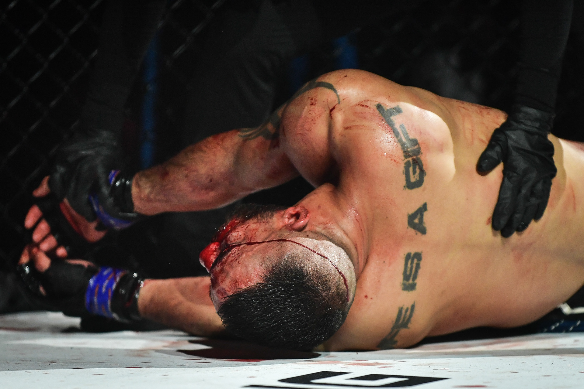 The HEXAGONE MMA 13 PARIS at the Zenith in Paris on January 26, 2024. Firas Abdullah / Abaca Press