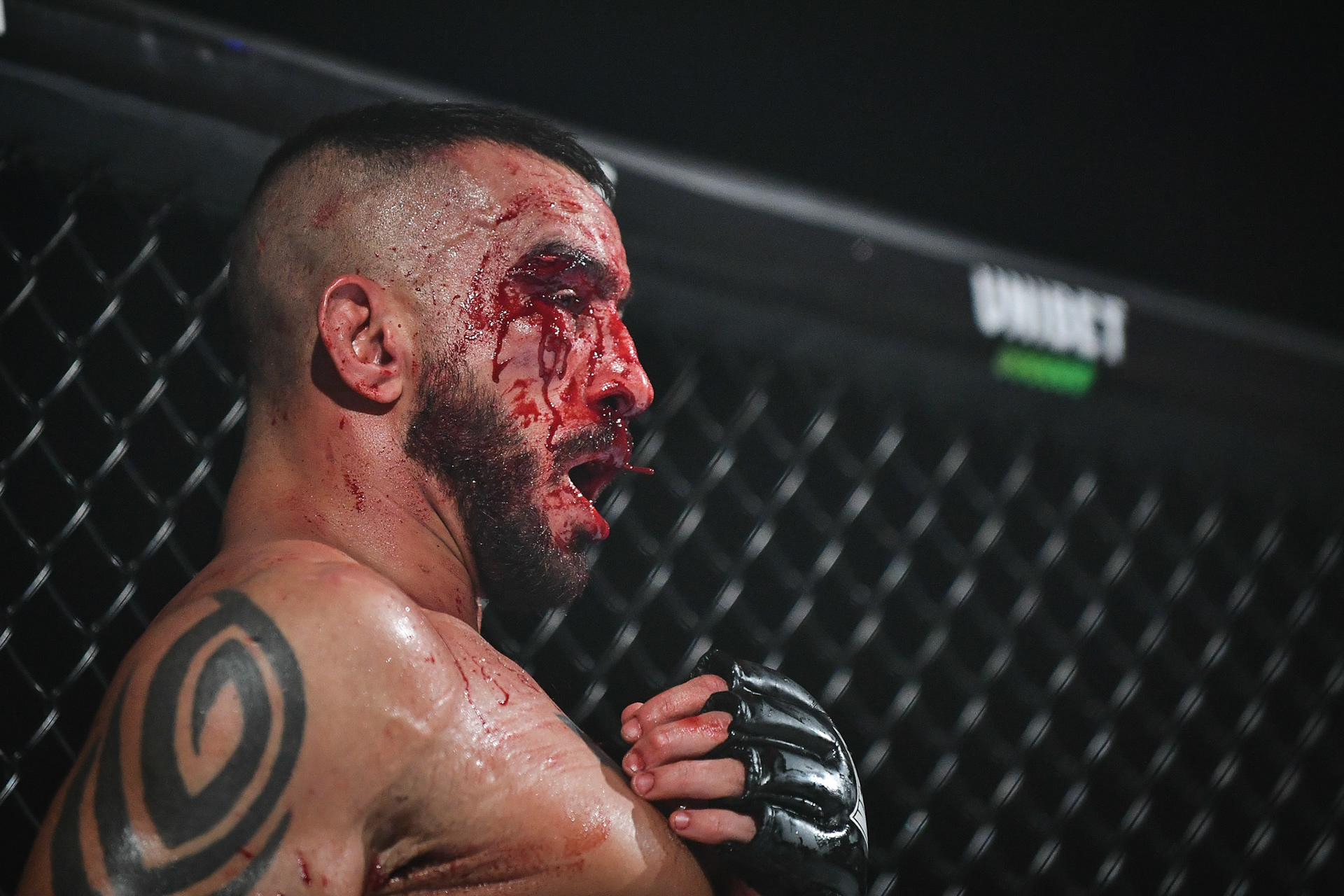 The HEXAGONE MMA 13 PARIS at the Zenith in Paris on January 26, 2024. Firas Abdullah / Abaca Press