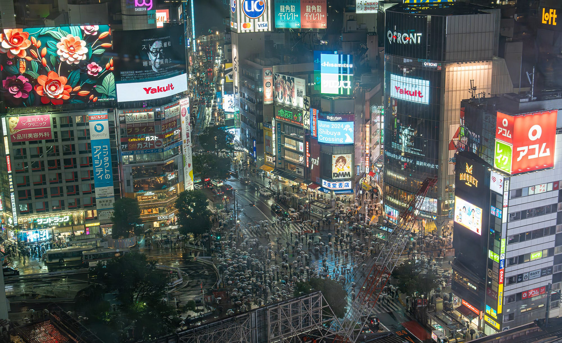 Shibuya Crossing at Night 