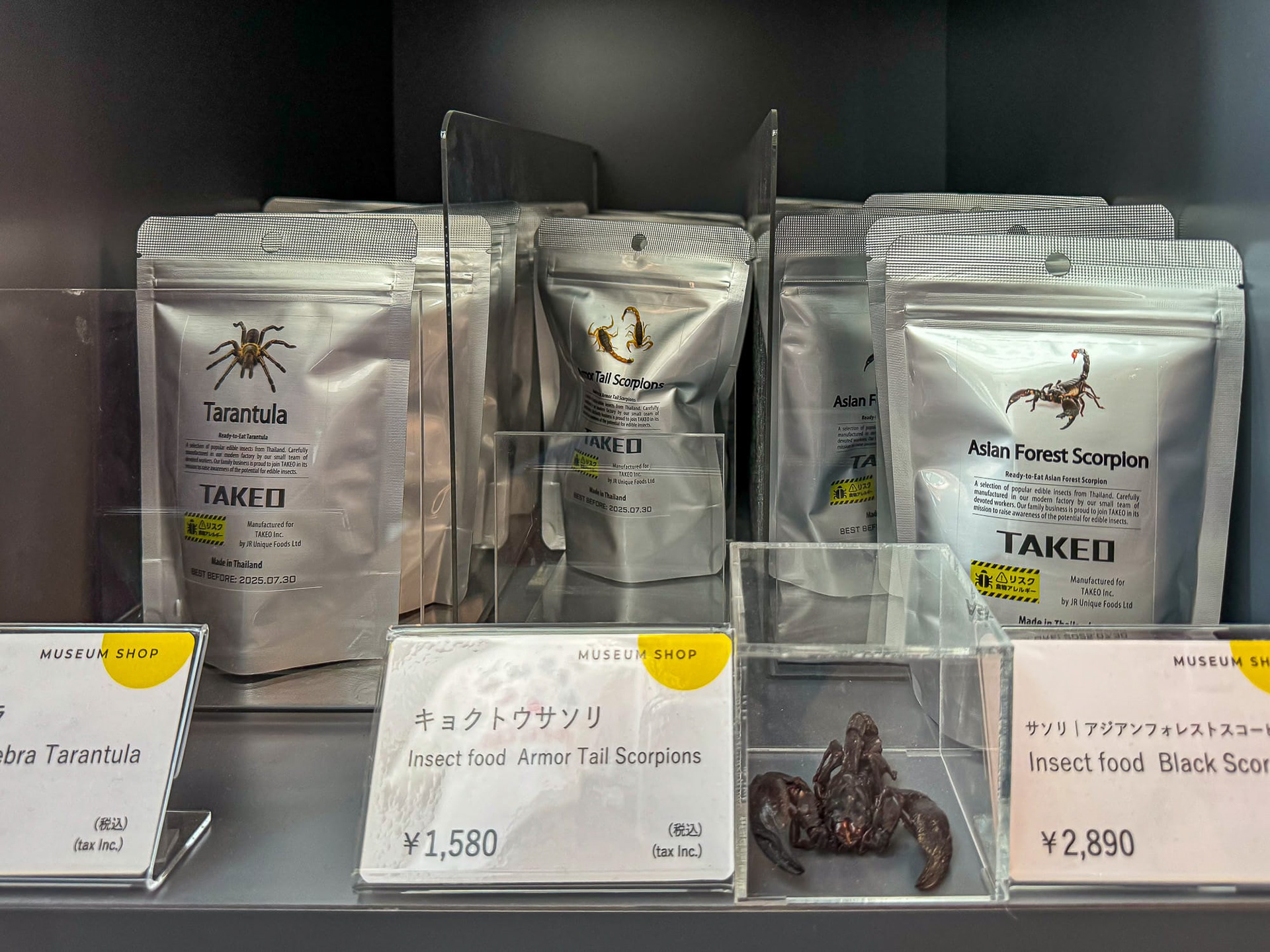 Yeah, real bugs. This is inside a science museum Miraikan. 