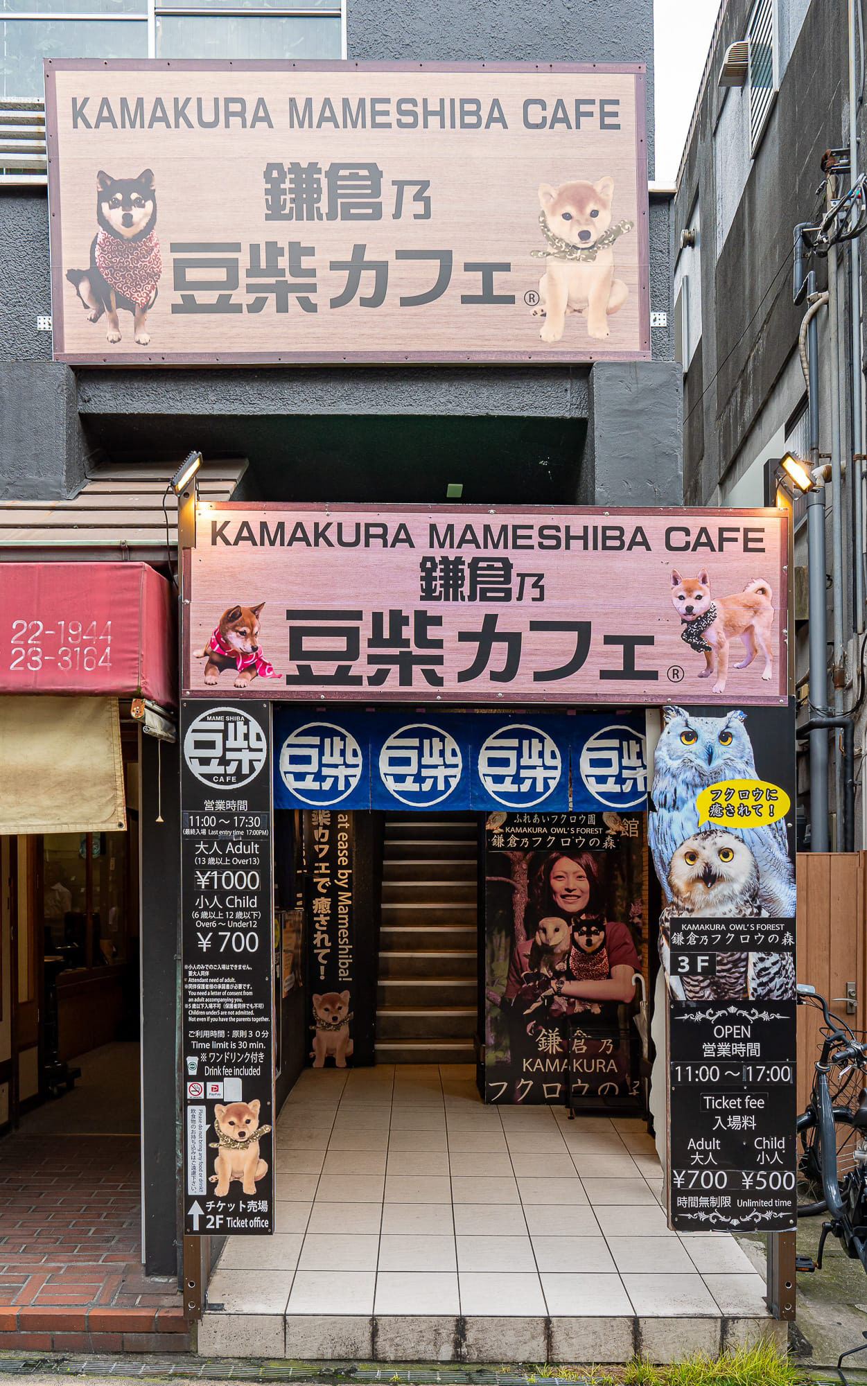 Another cute animal cafe. 