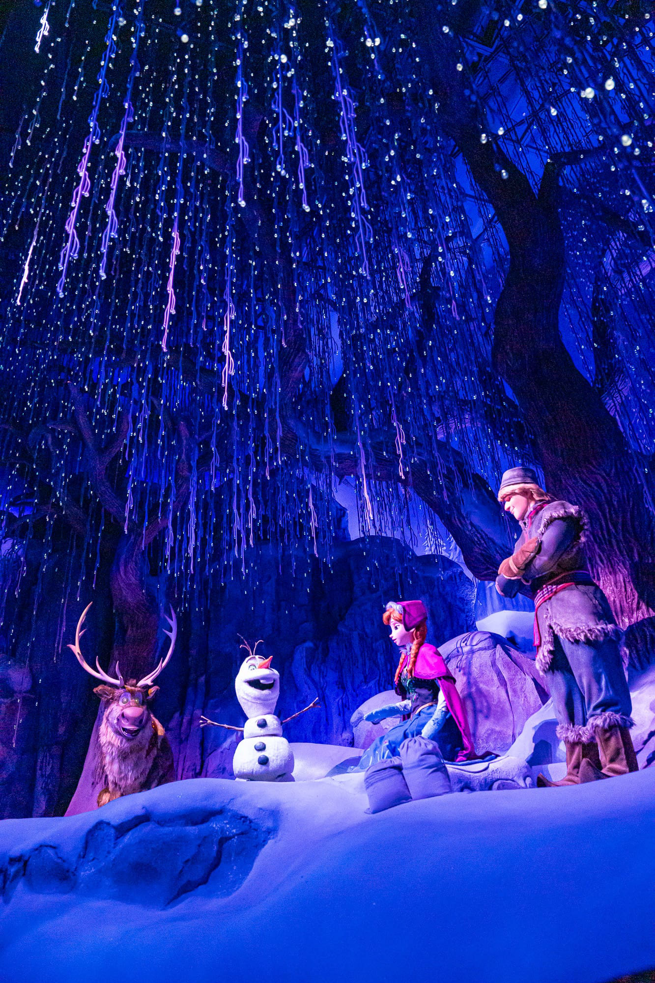 Frozen ride. Kids really love it. 