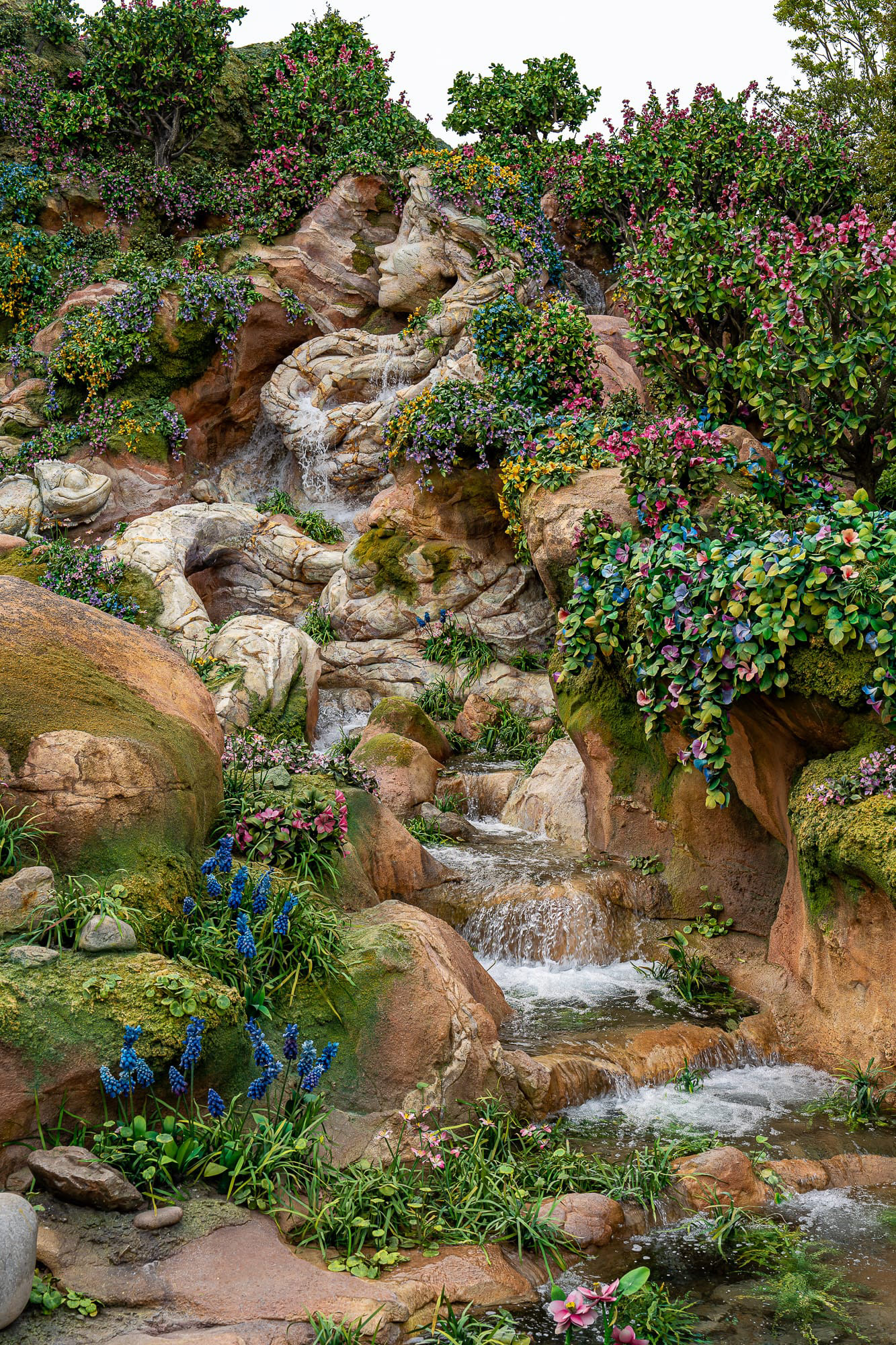 Rapunzel Relief Mountain 