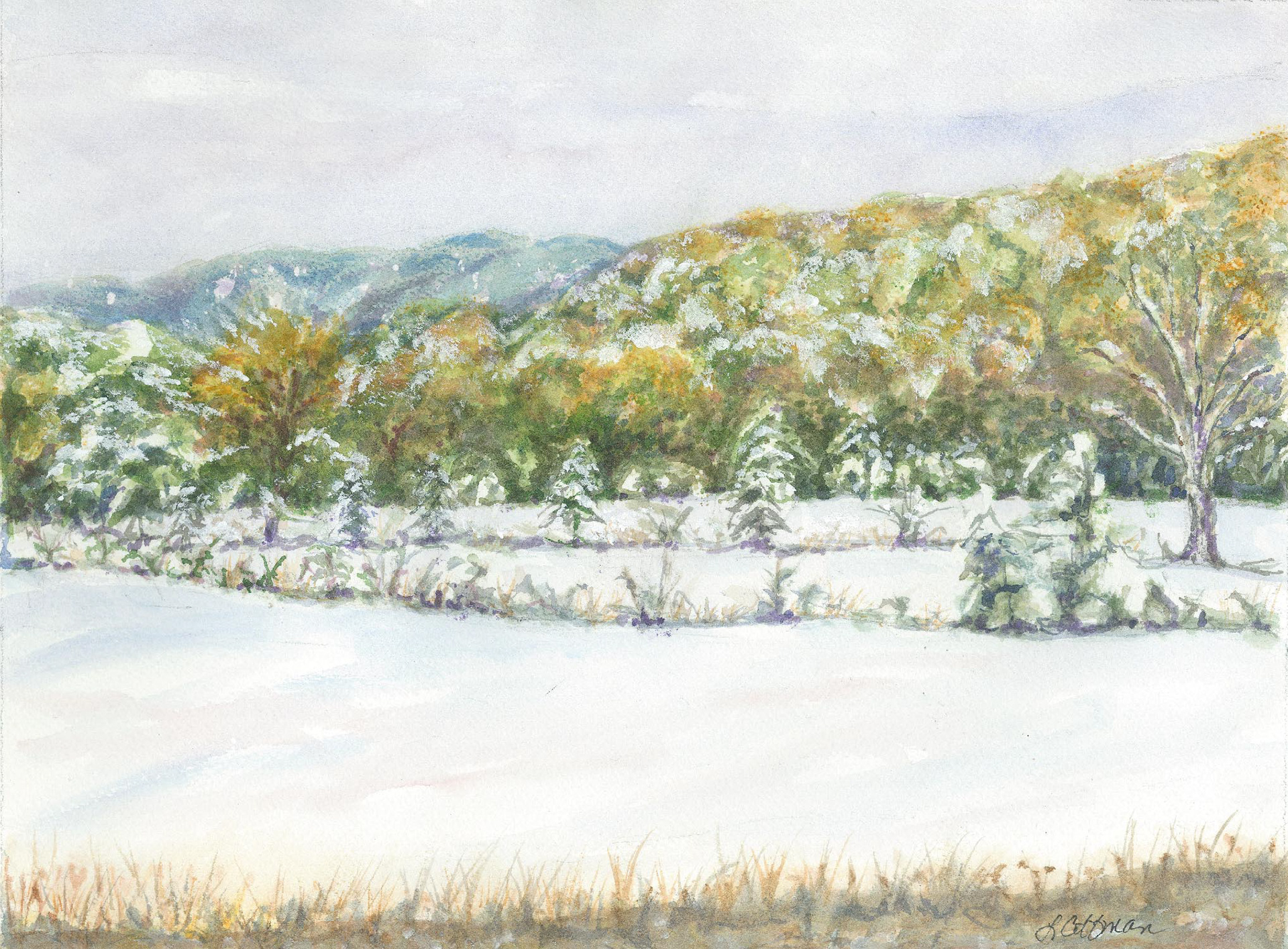 Bath County Snowfall ... won a Special Merit Award during the "Landscapes" competition from the Light Space Time (LST) online art gallery, a subsidiary gallery of Fusion Art.