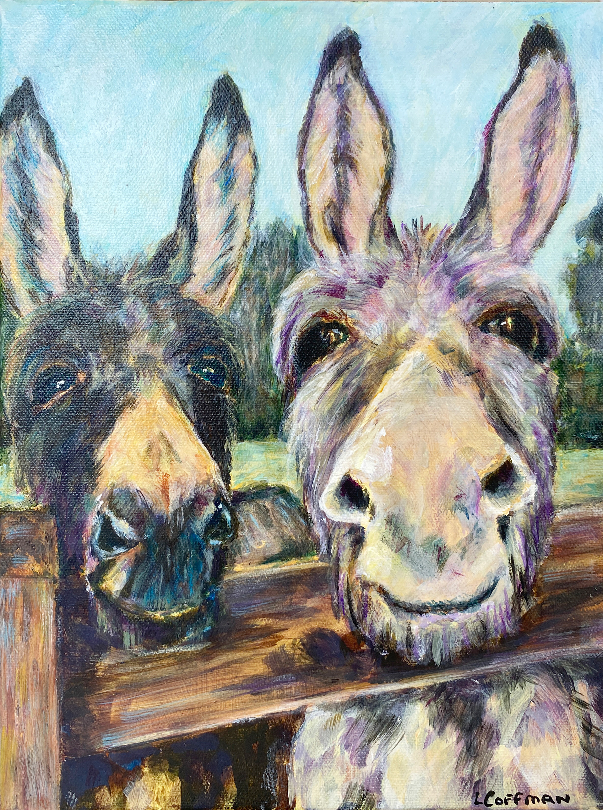 Donkeys Seeking Treats